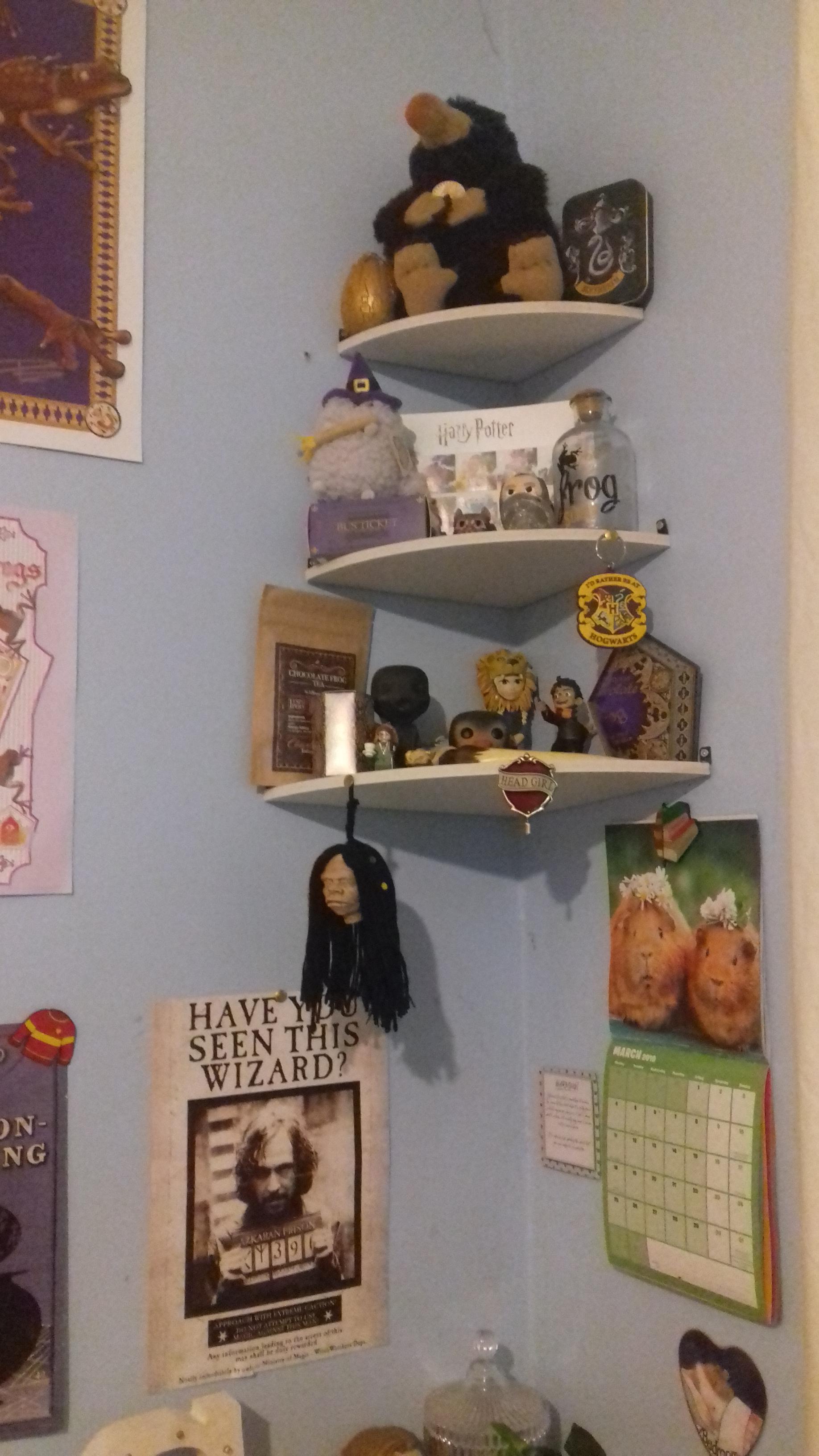 My husband put shelves up for me! r/harrypotter