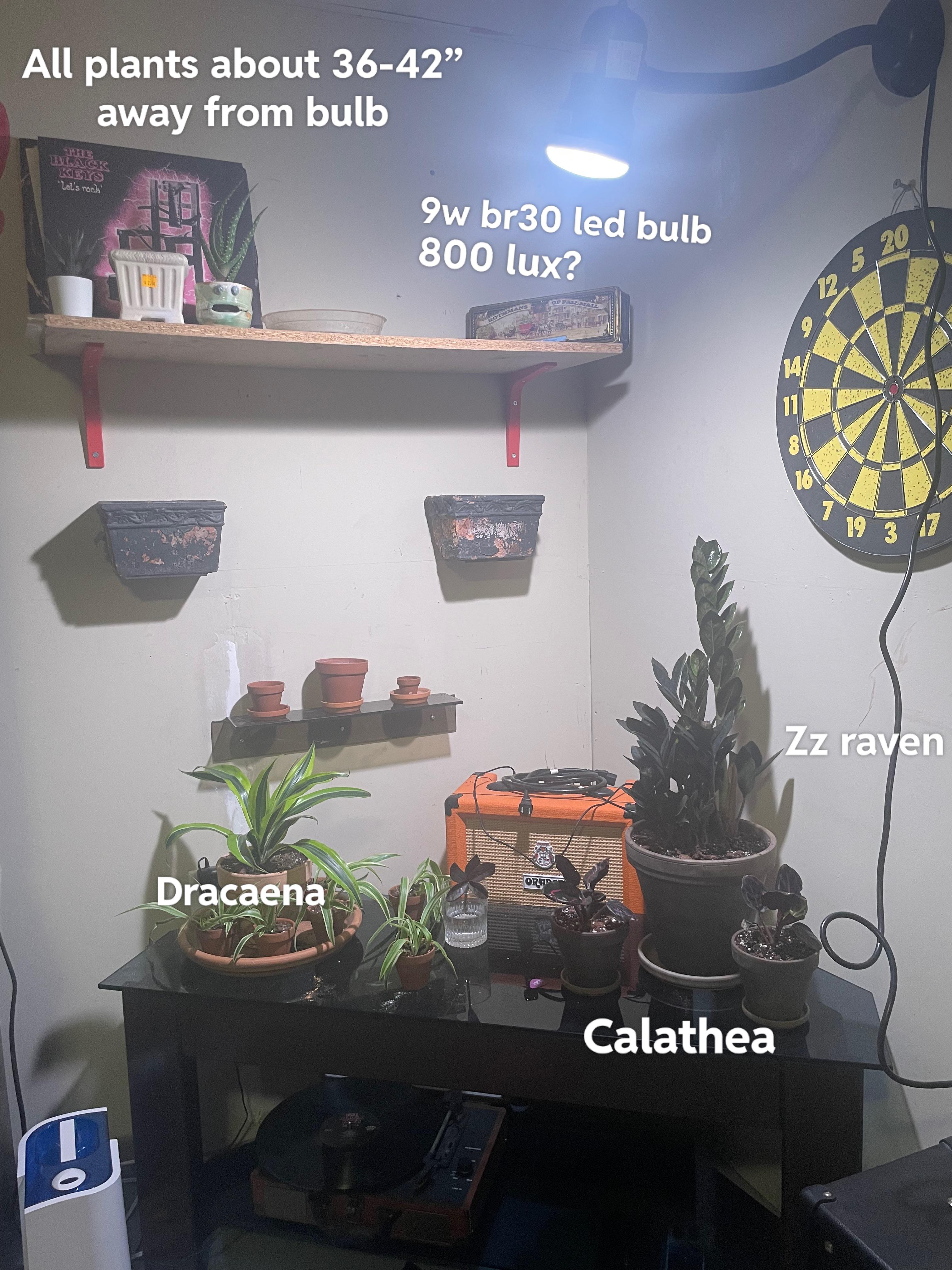 How can i improve this lighting set up to make a better environment for