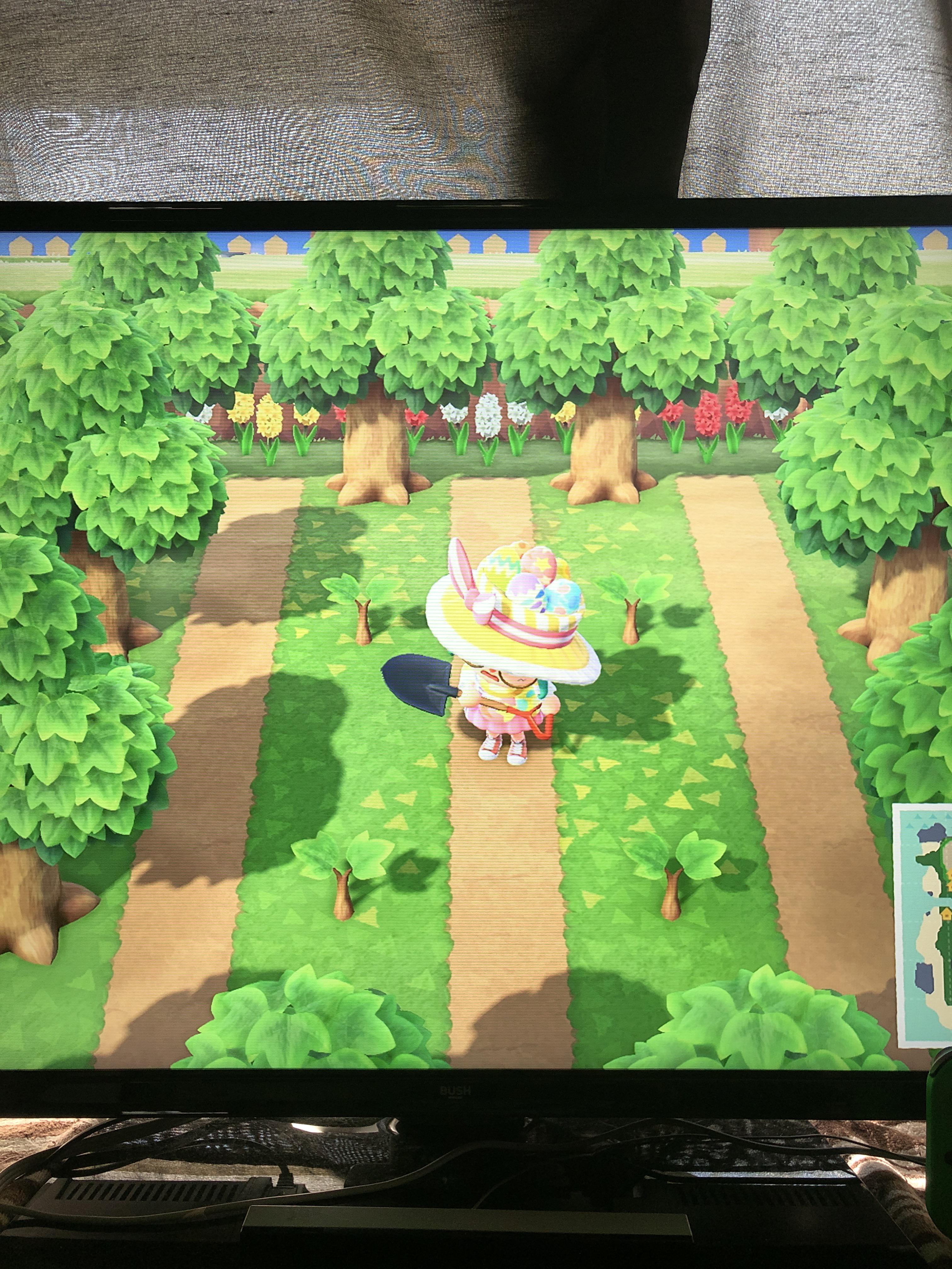 Can someone please tell me why these 4 saplings won’t grow? I don’t see why they won’t as the