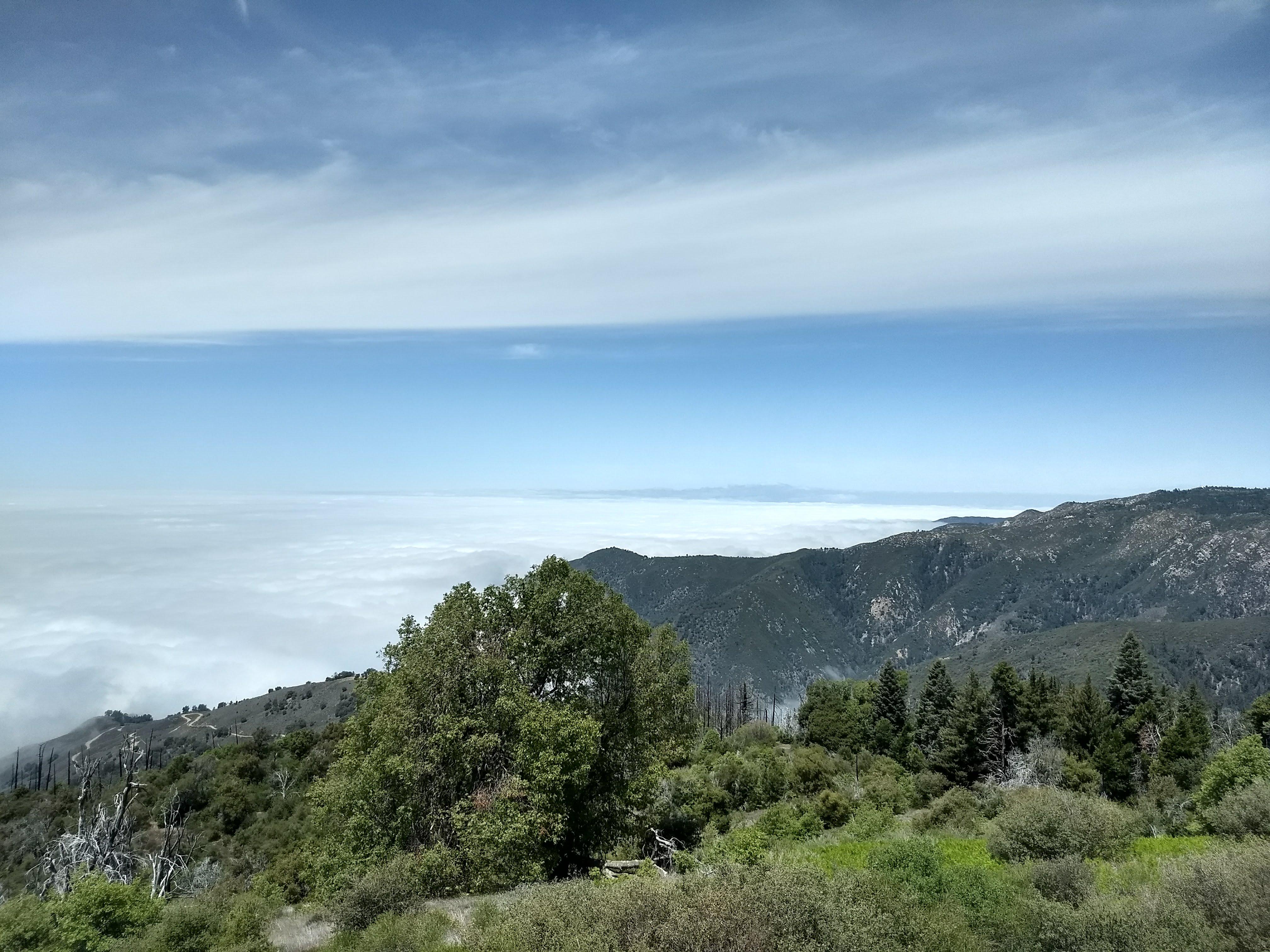 Above the Clouds on Palomar Mountain r/pics