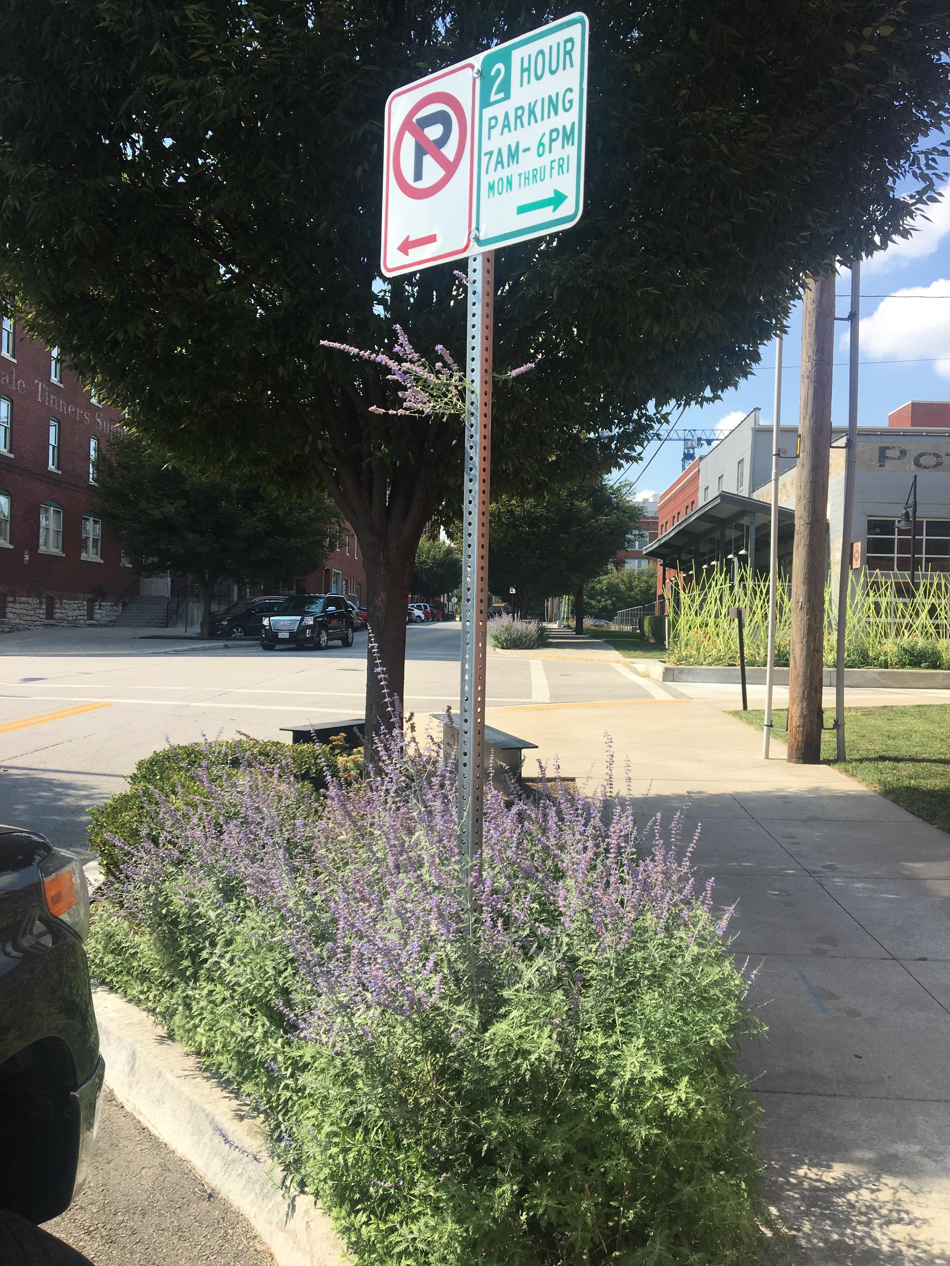These flowers growing inside this sign r/mildlyinteresting