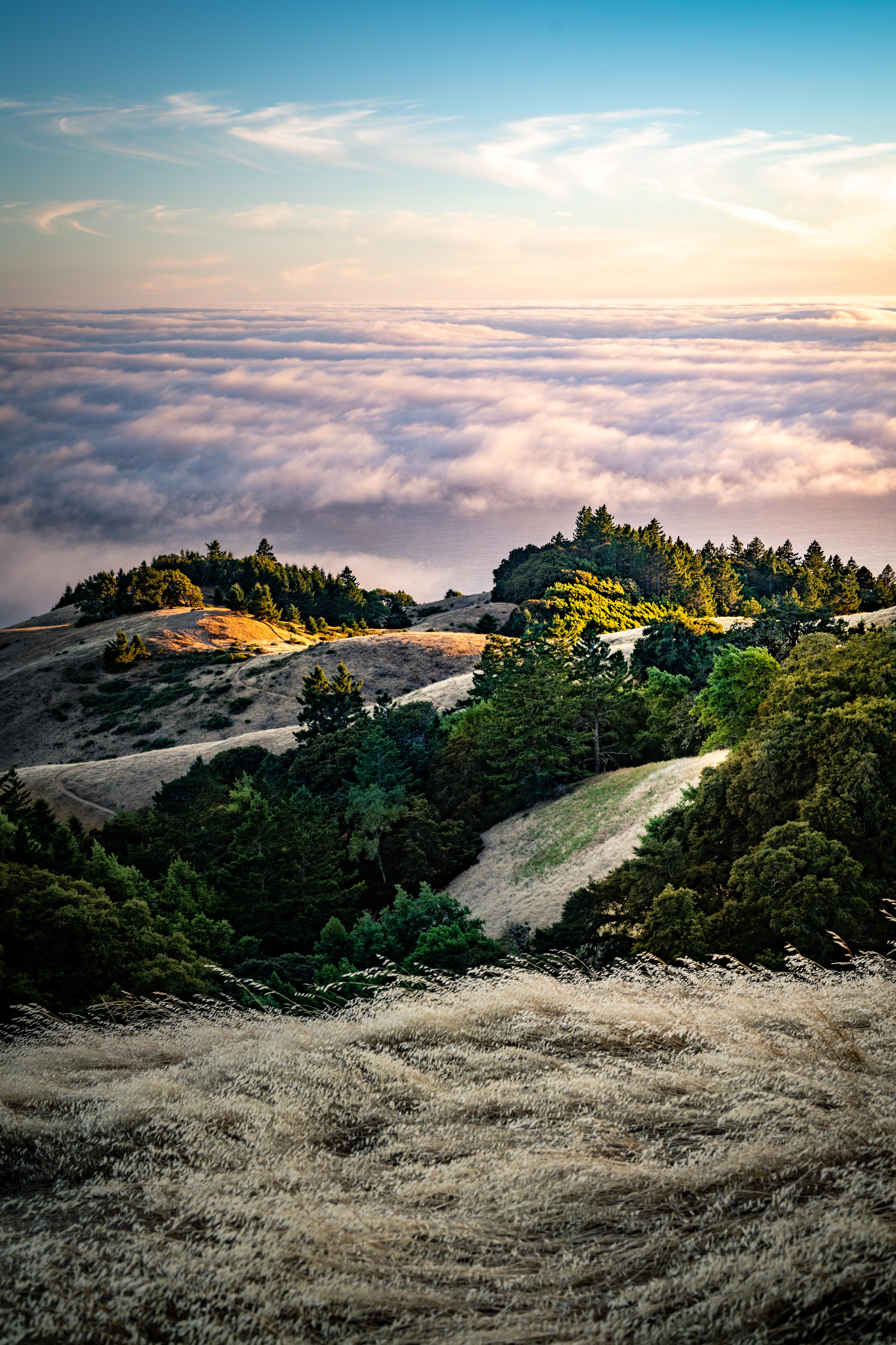 Above the Clouds on Mt. Tamalpais, Marin County, California [OC