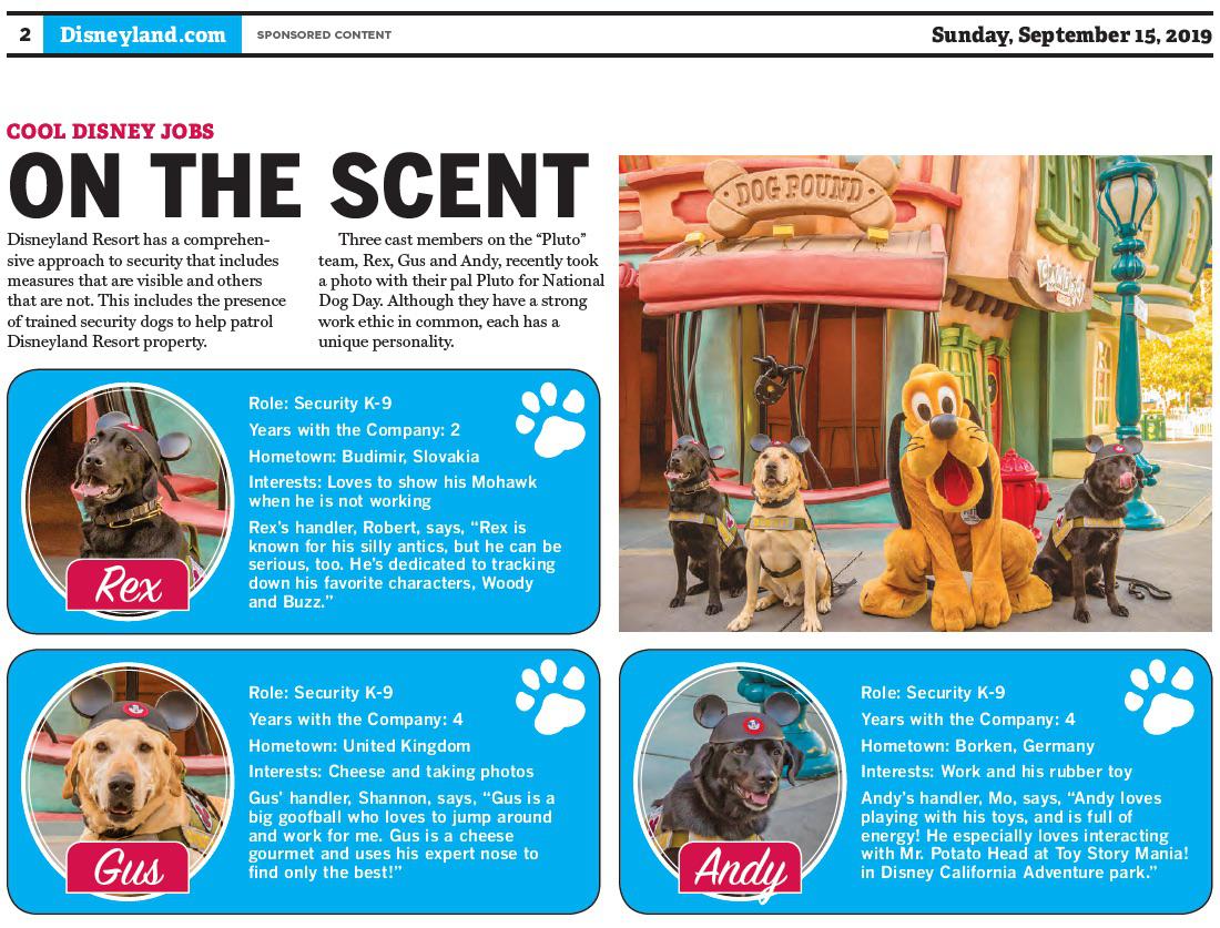 Are Dogs Allowed Disneyland