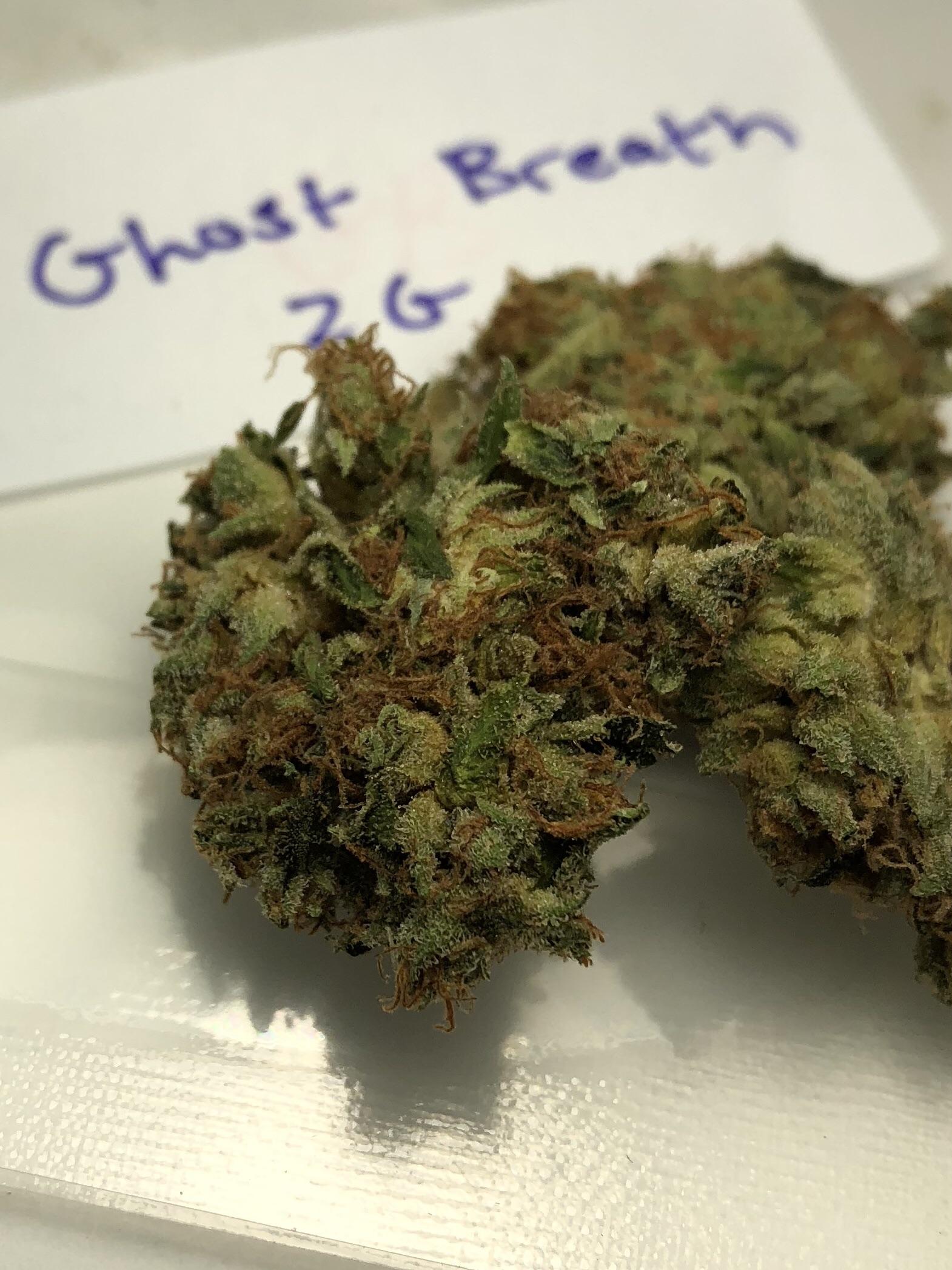 Ghost Breath The Wholesome Monkey Aug 2018 MOMpics
