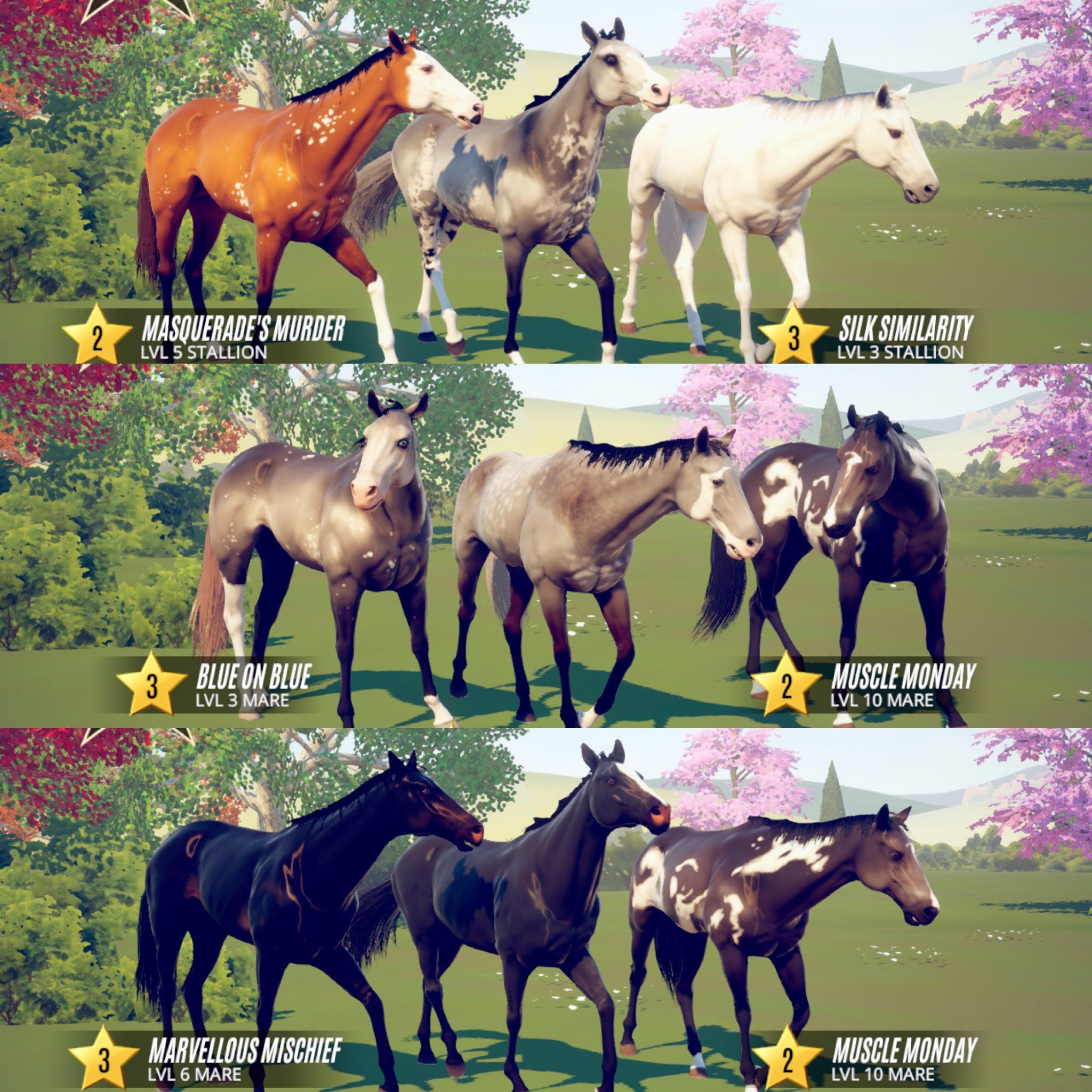 My current horse lineup, just breeding for pretty horses atm r/rivalstars