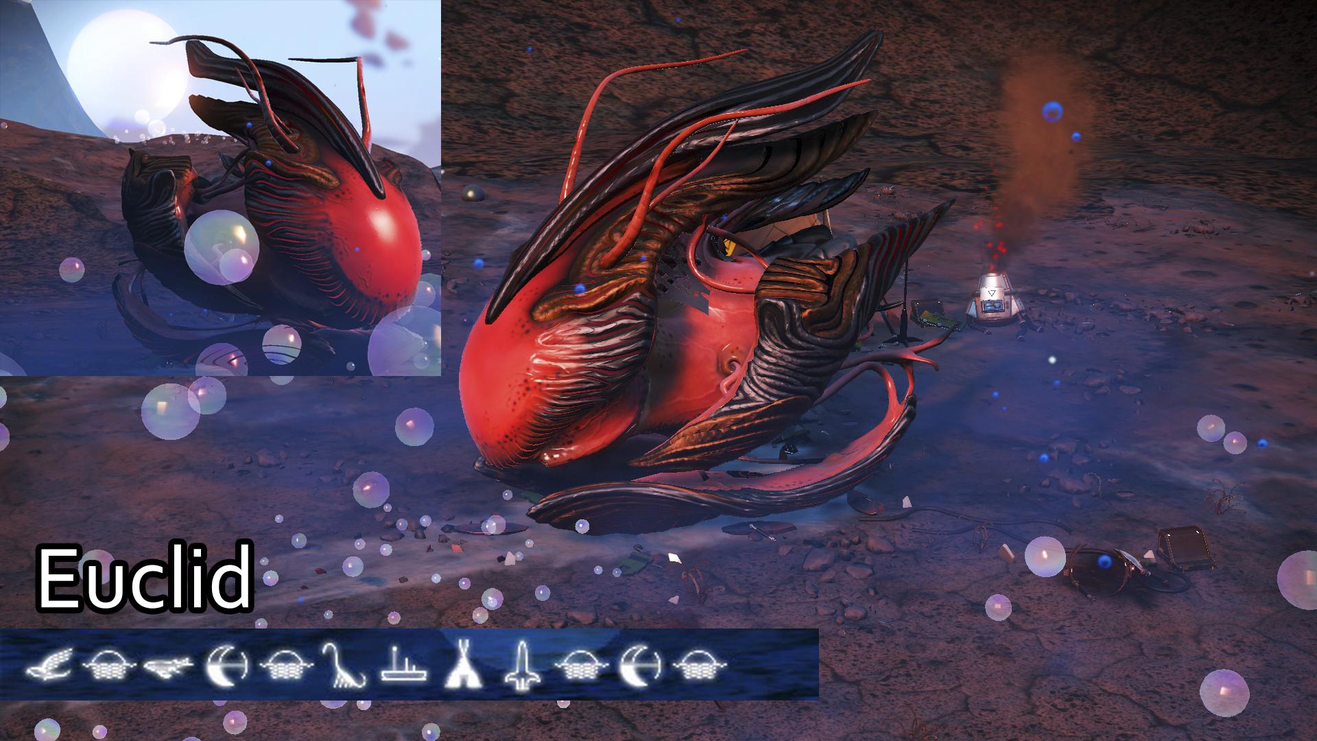 655 best Living Ship images on Pholder No Mans Sky The Game, NMS