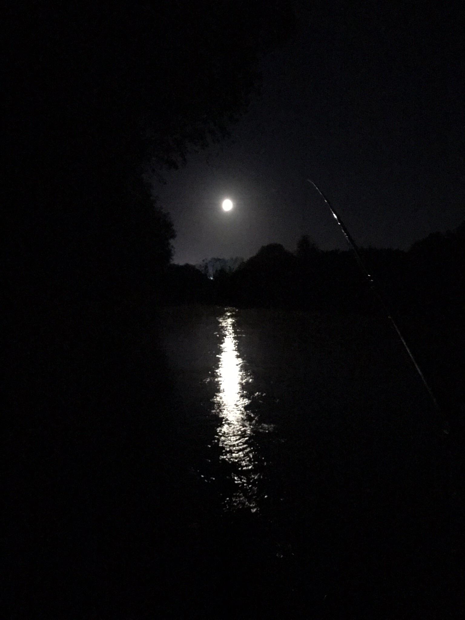 It’s been a while since I took this. Night fly fishing for sea trout