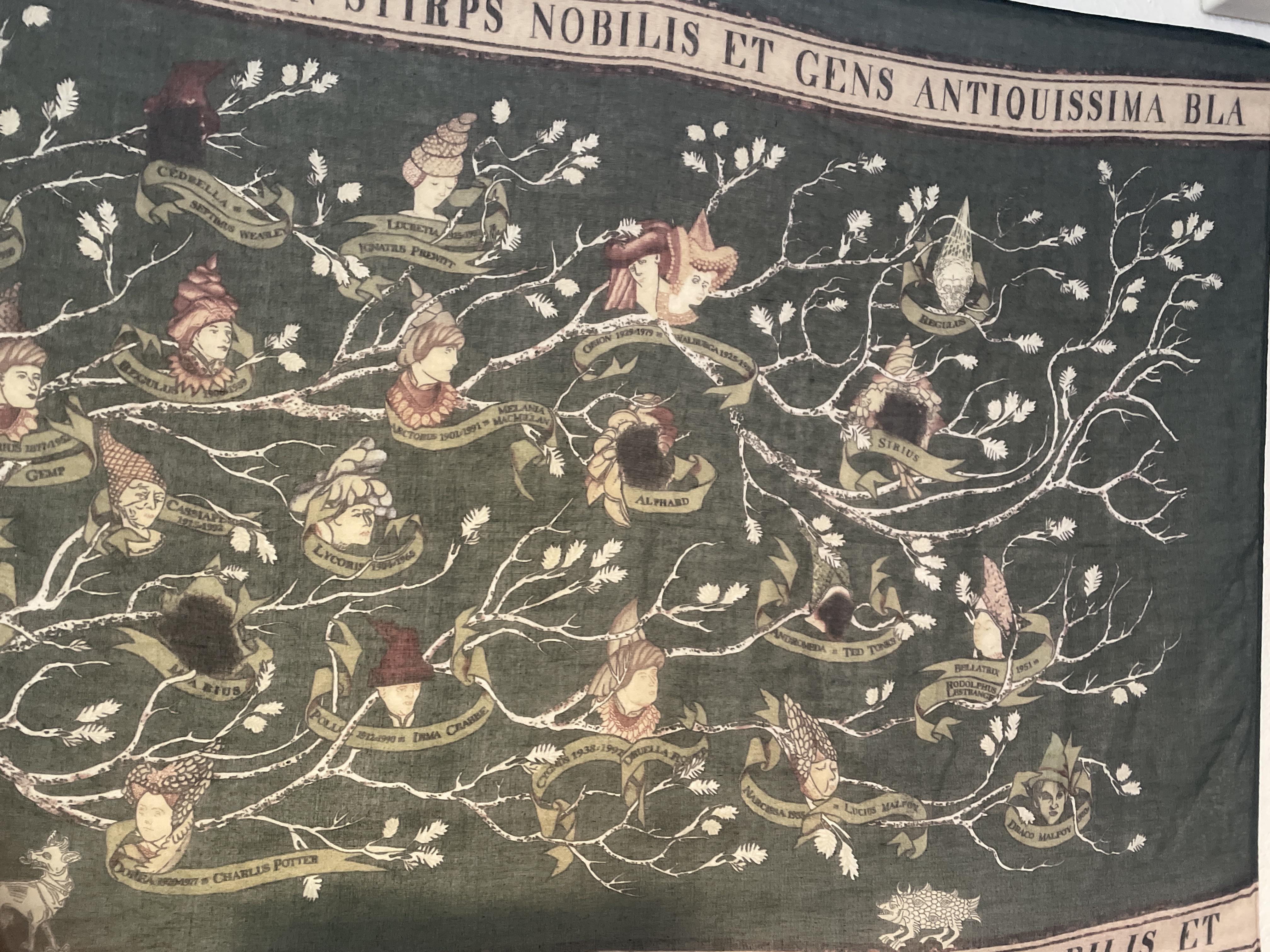 Harry Potter Black Family Tree