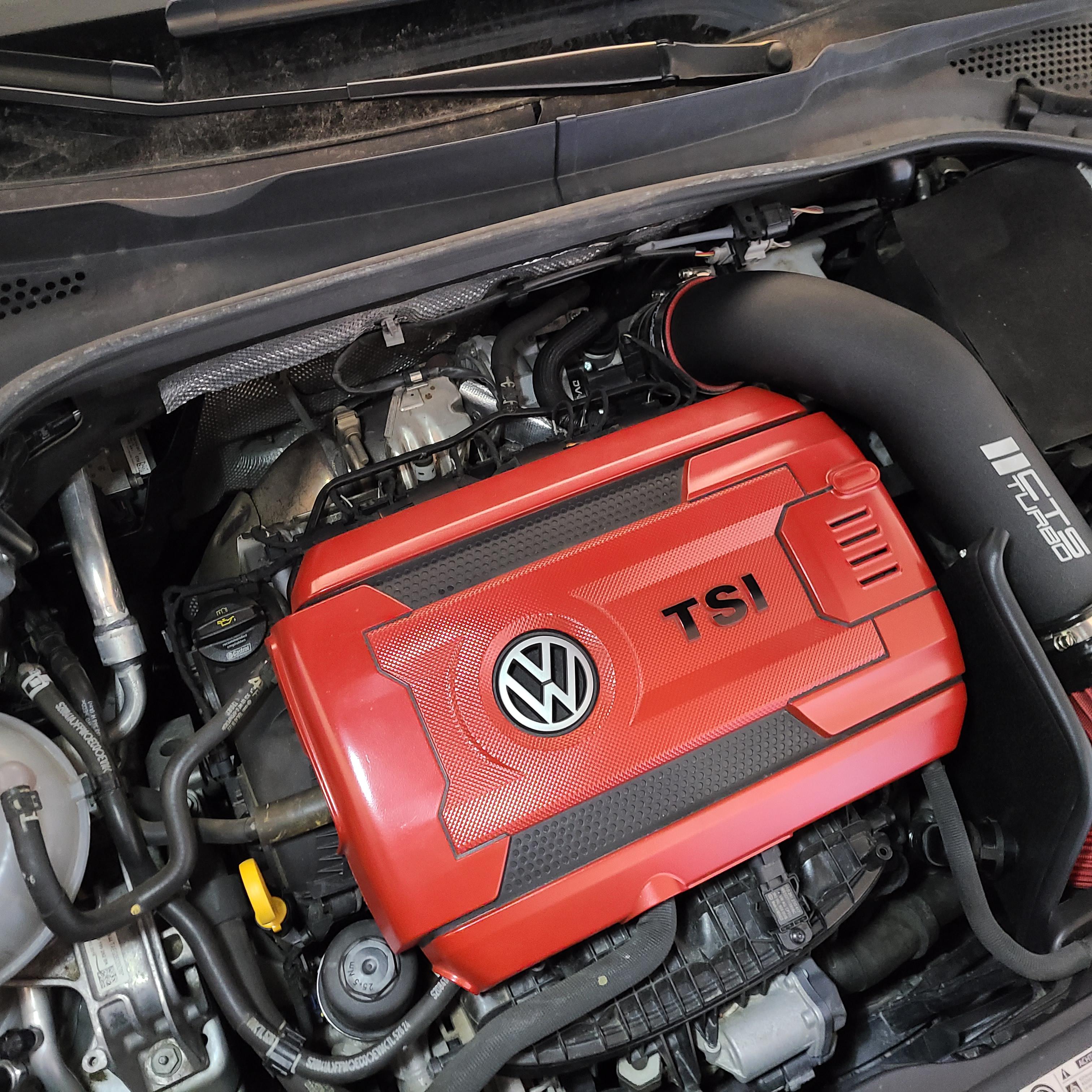 Thought I'd show off my custom painted engine cover I did awhile back