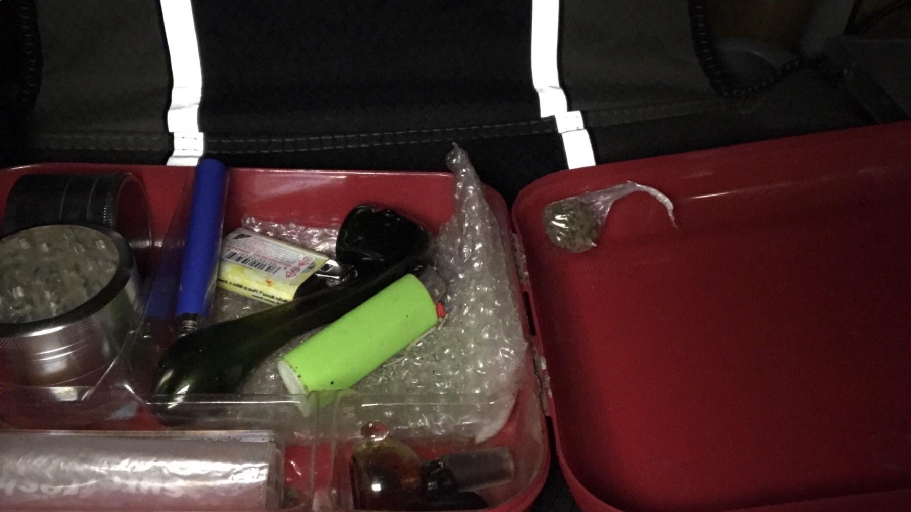 This is my Weed Kit, does anyone else do this or am I high OCD Sketch