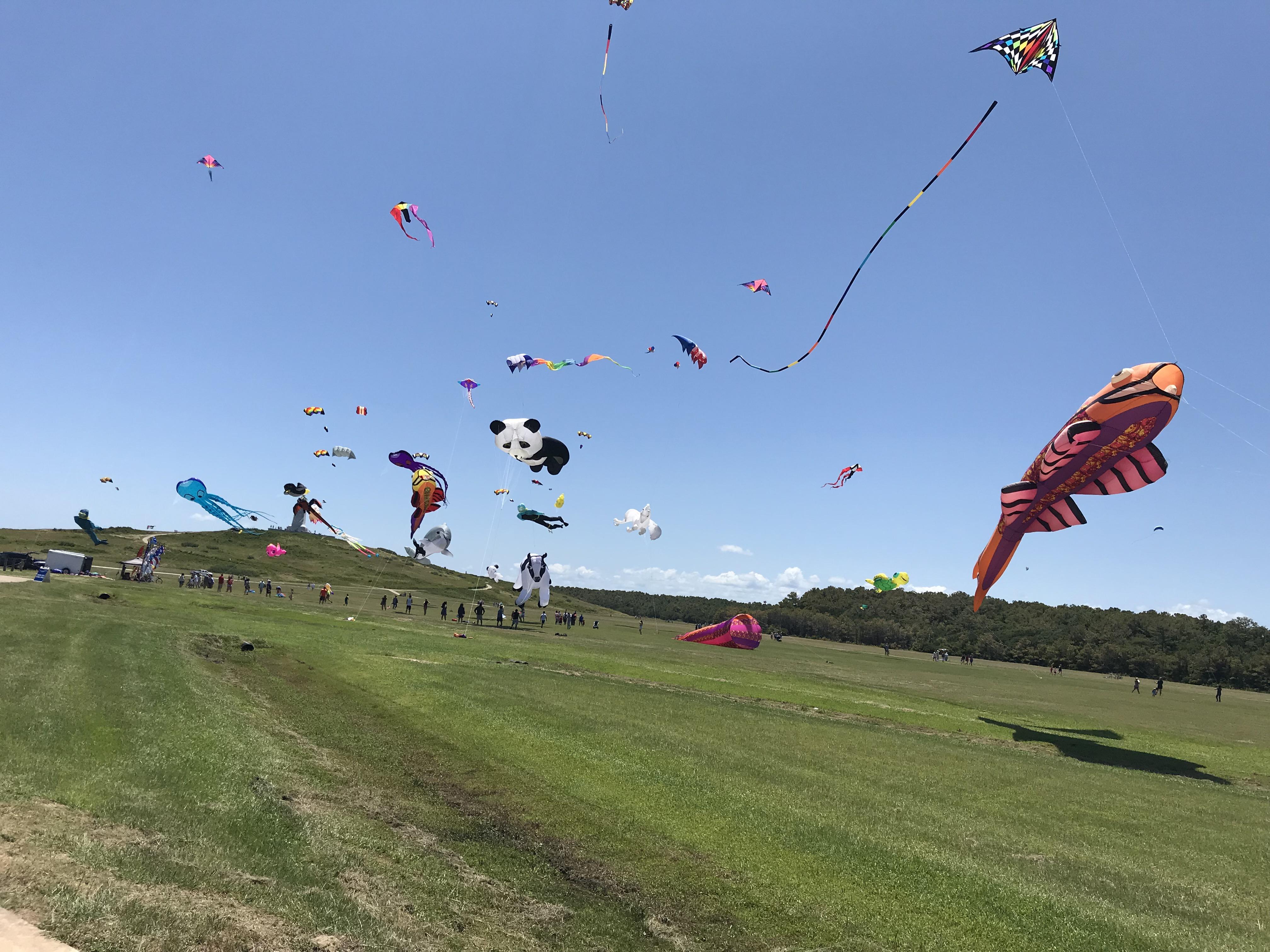 Kite fest in North Carolina. r/kites