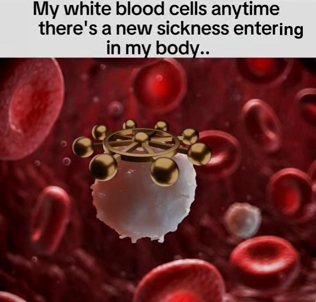 My white blood cells > Mahoraga r/Jujutsufolk