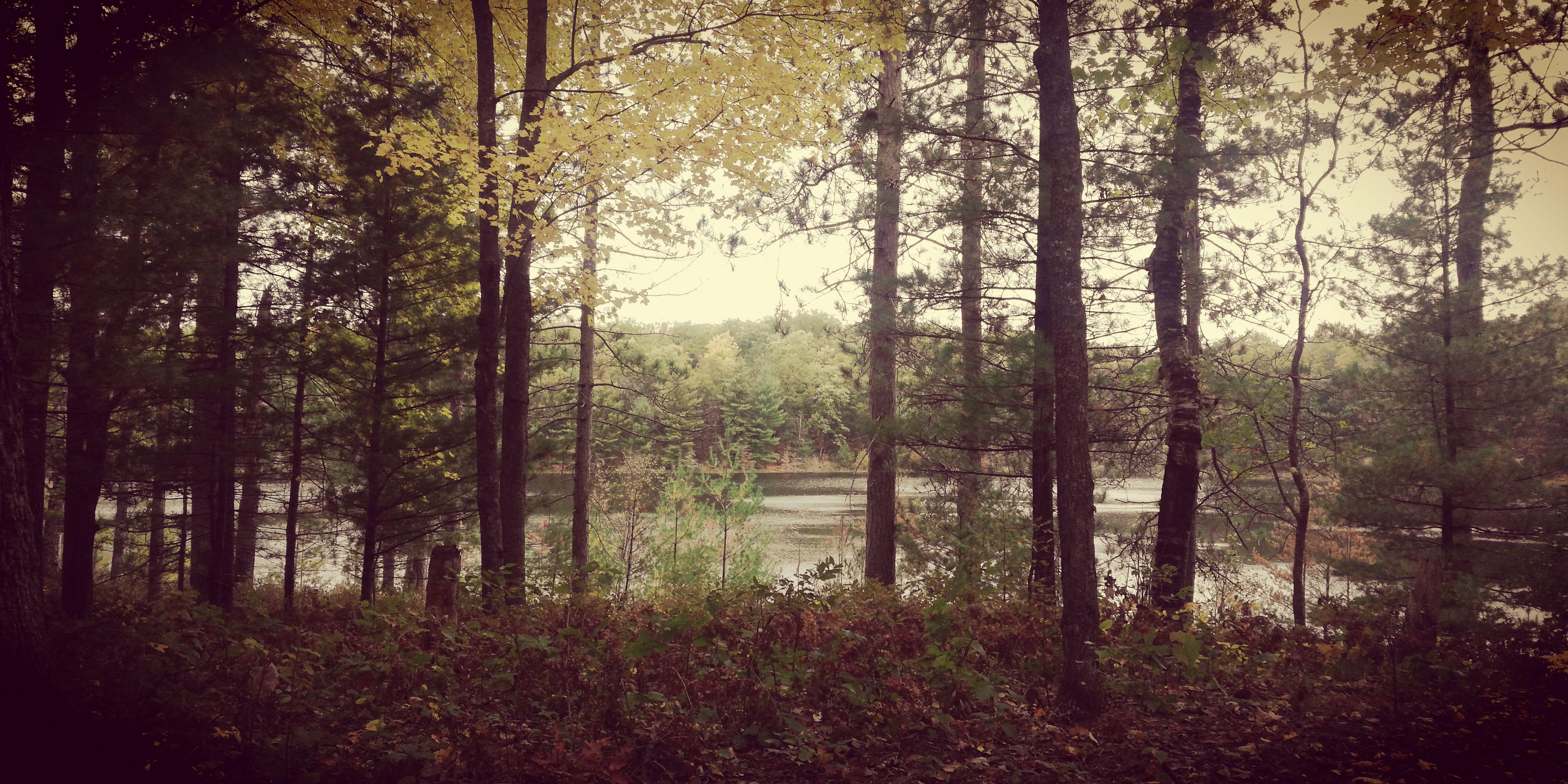 Hoist Lake Foot Travel Area, Byron Lake, 10/13/19 r/CampAndHikeMichigan