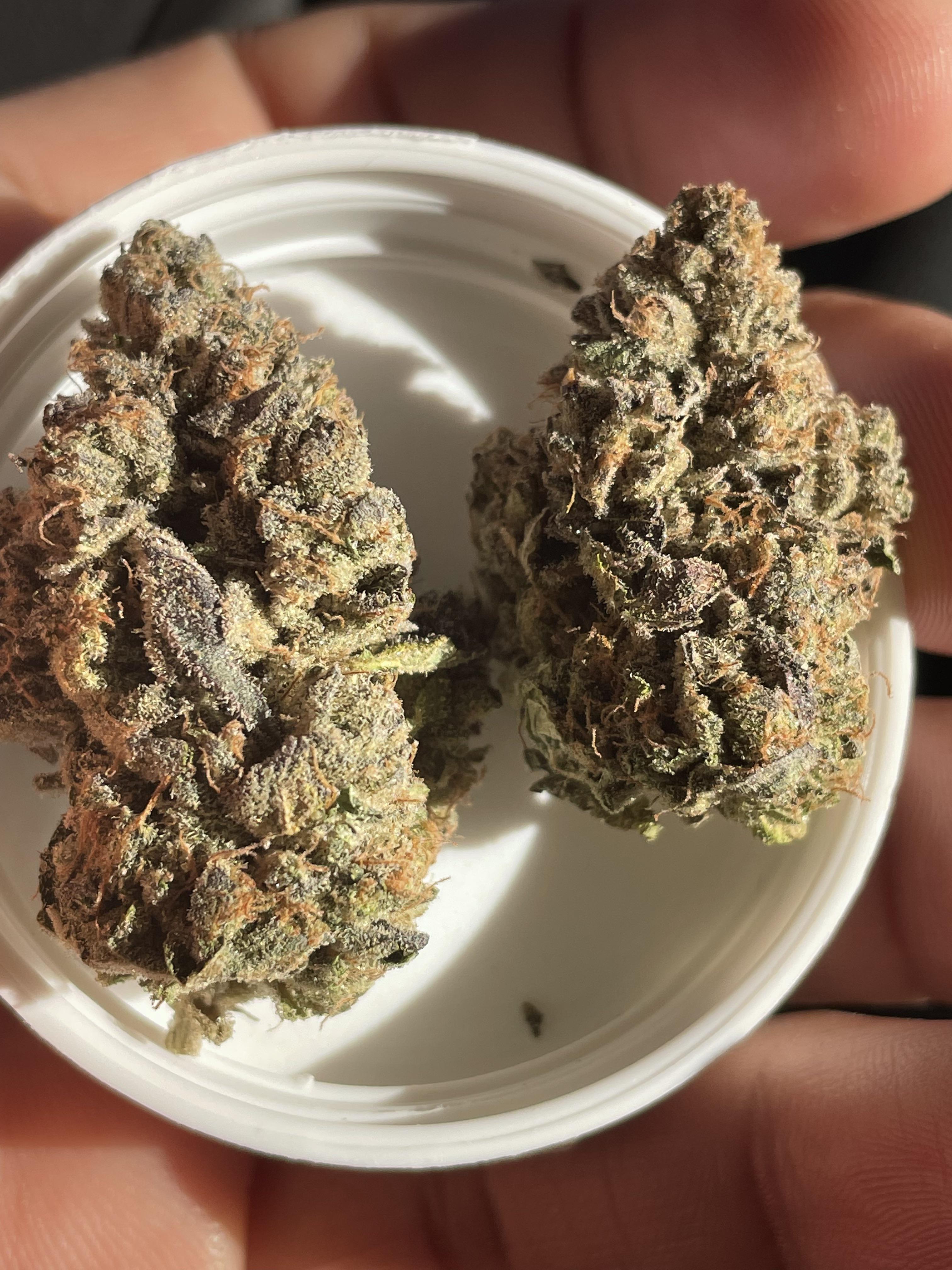 Rainbow belts.. Zkittlez x Moonbow 75 r/ZonaEnts