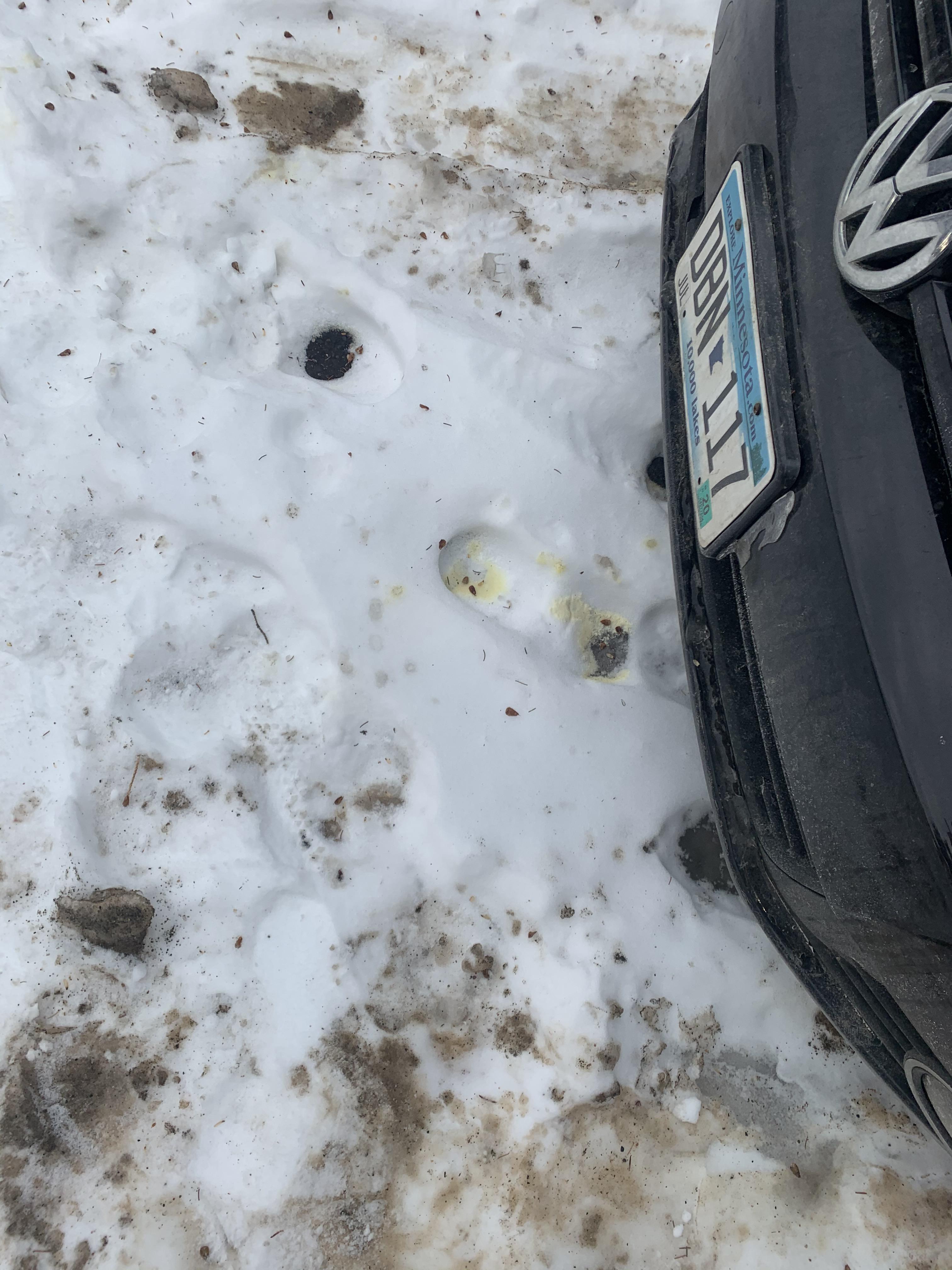 Anyone know what this fluid is leaking from my car? My coolant is red