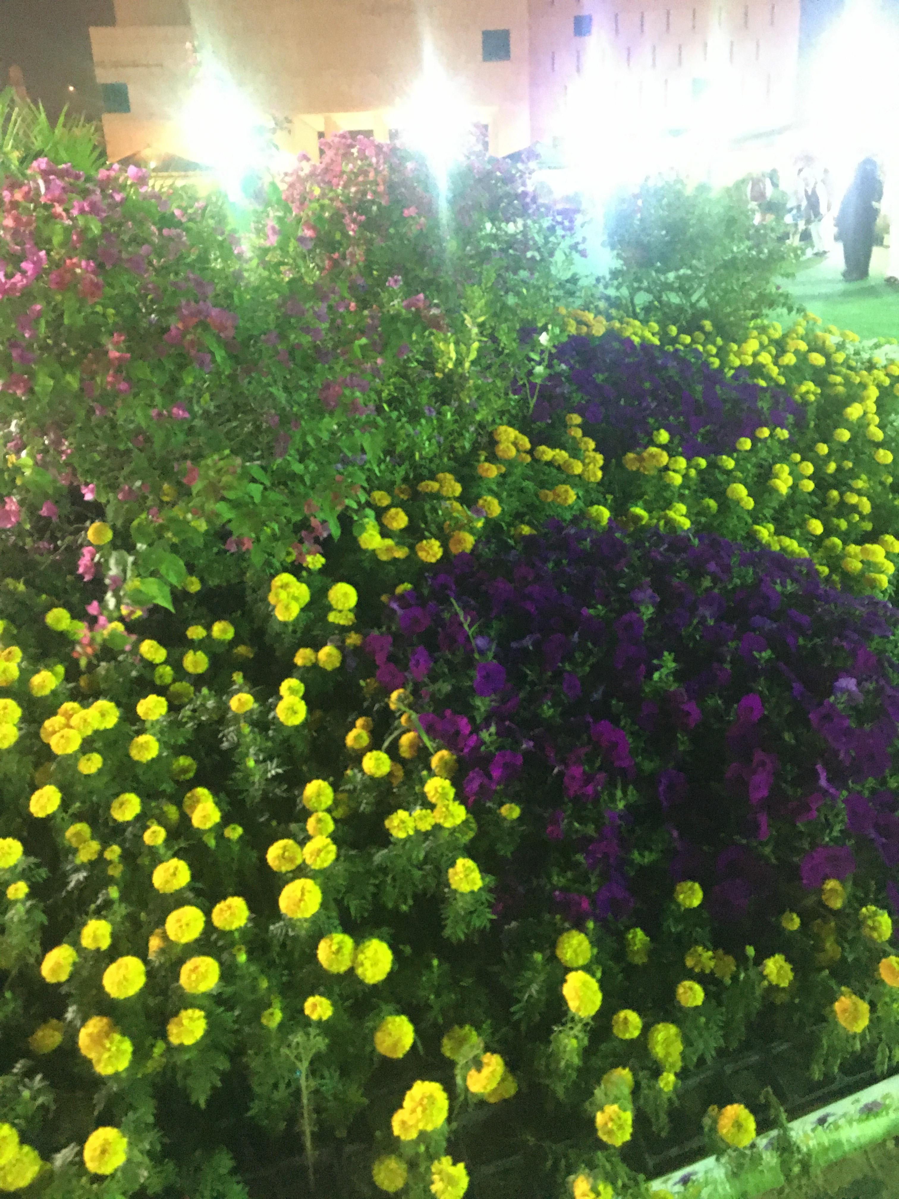 Souq Waqif’s Flower Festival r/qatar