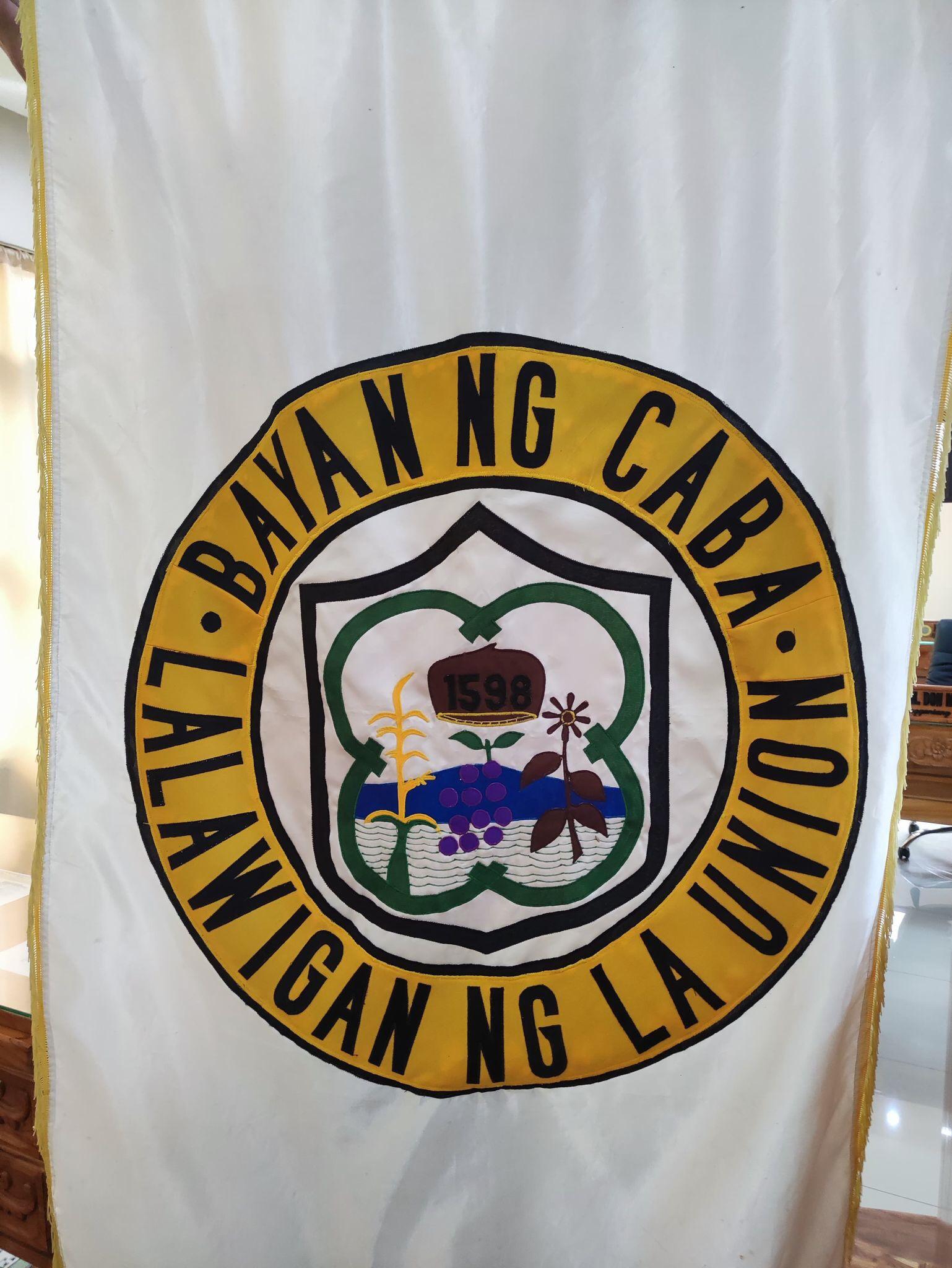 Flag of the municipality of Caba, La Union, Philippines r/vexillology