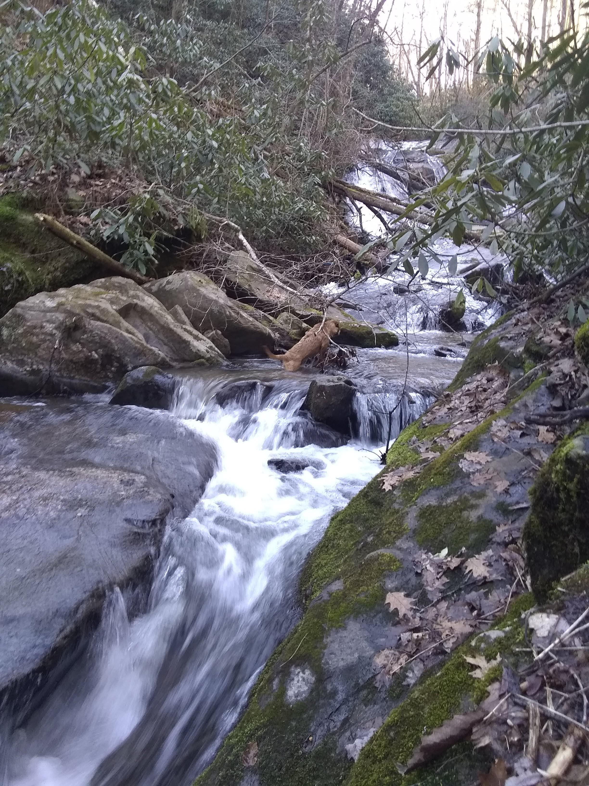 Creek next to our home town Creeks