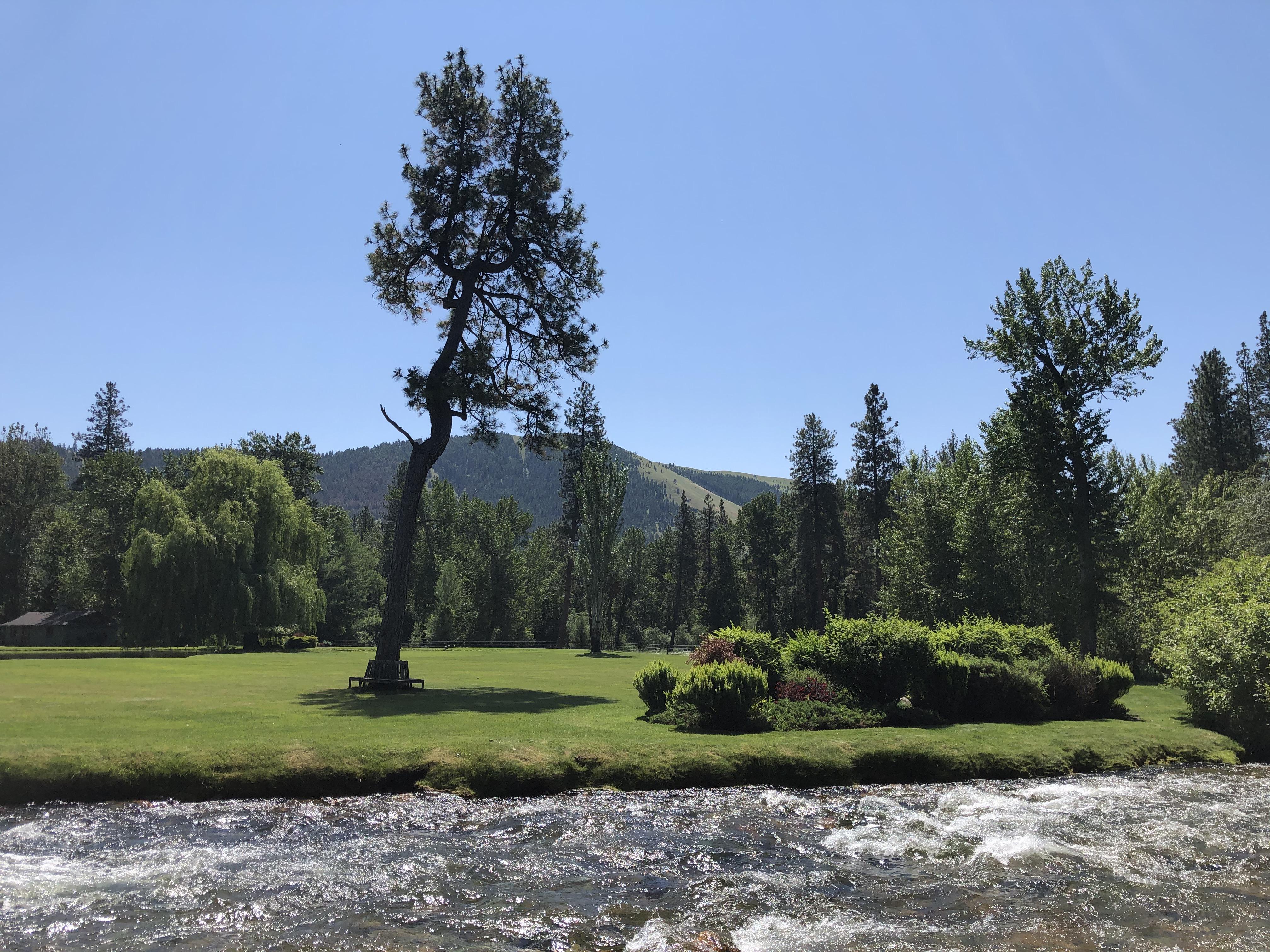 Billionaire’s view in Missoula r/Montana