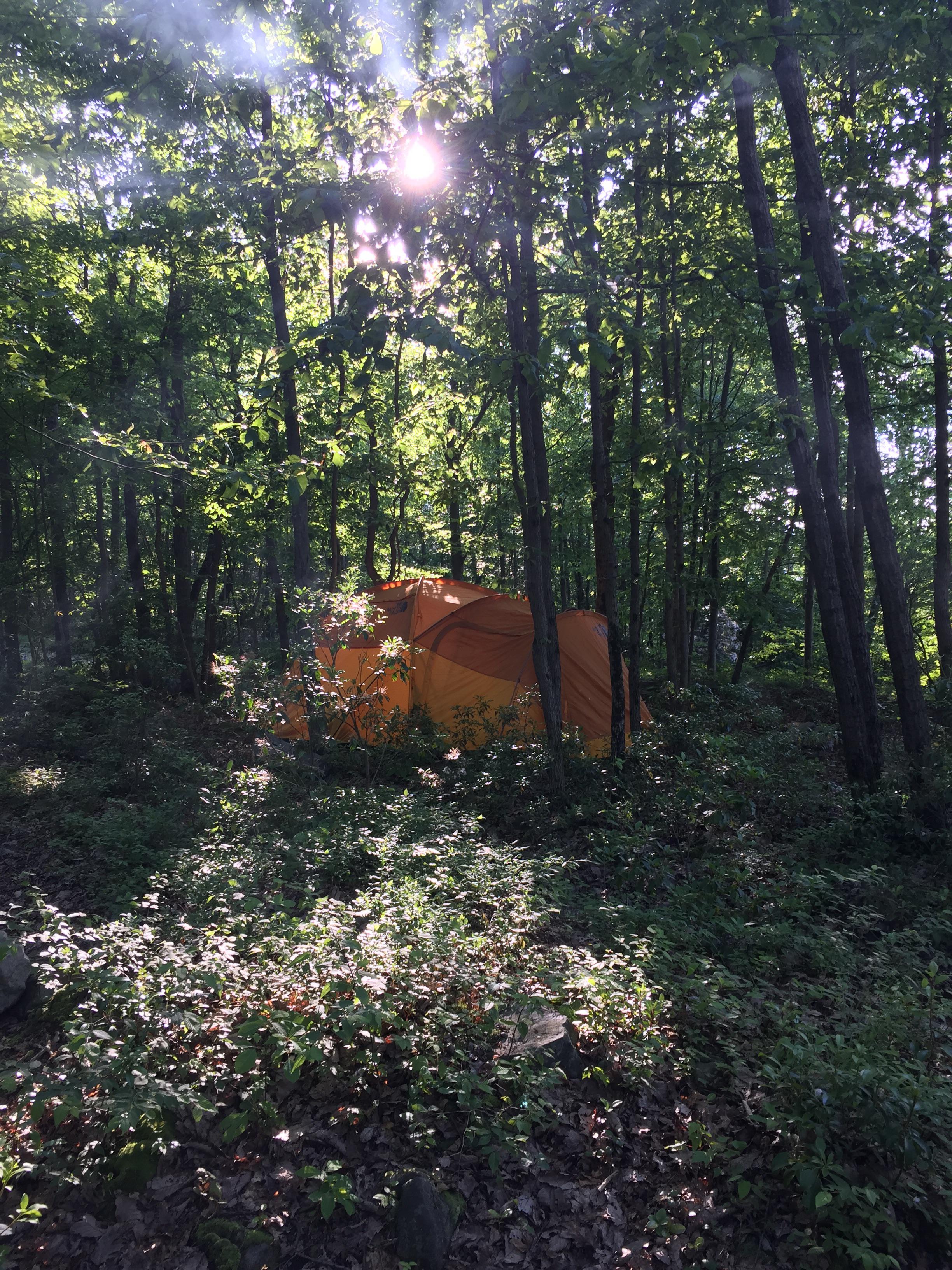 Camping for the first time with a 4monthold in our “family tent.” r