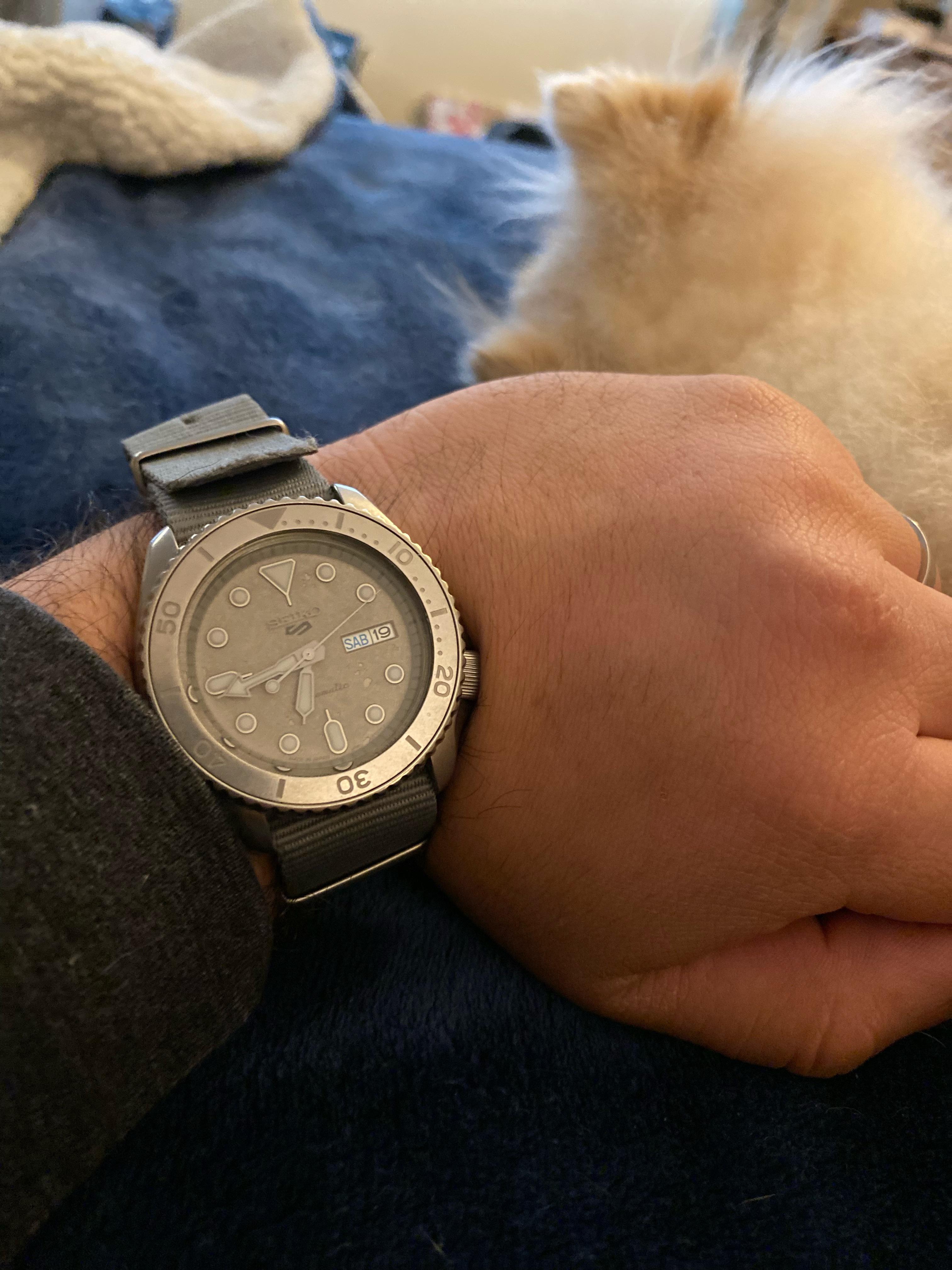 New everyday Seiko [SRPG61] r/Seiko