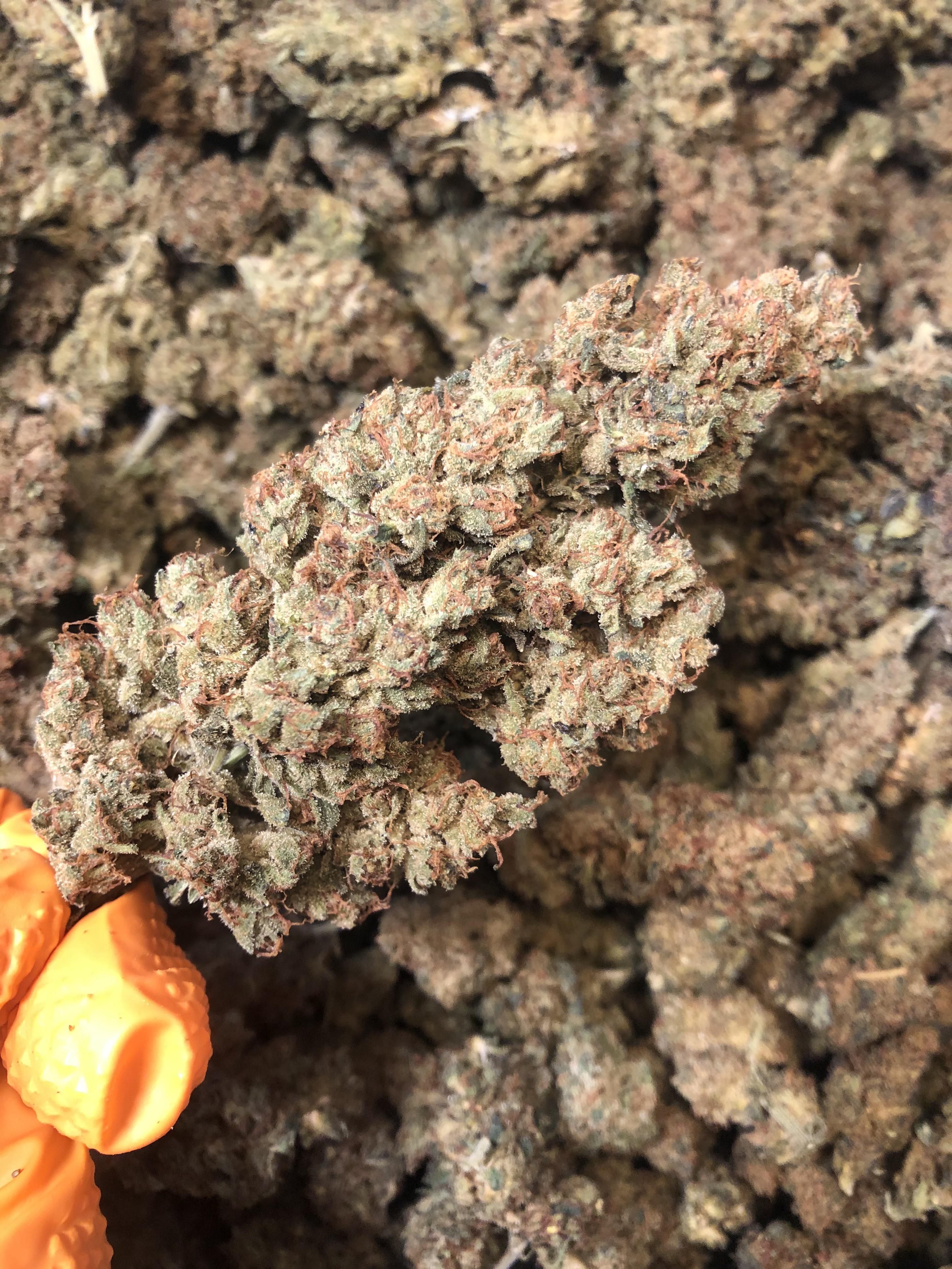 Indoor hydroponic hemp flower by Origin Hydro. Every flower is trimmed