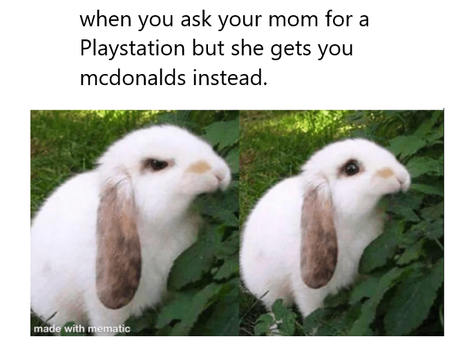 Happy bunny noises. r/memes