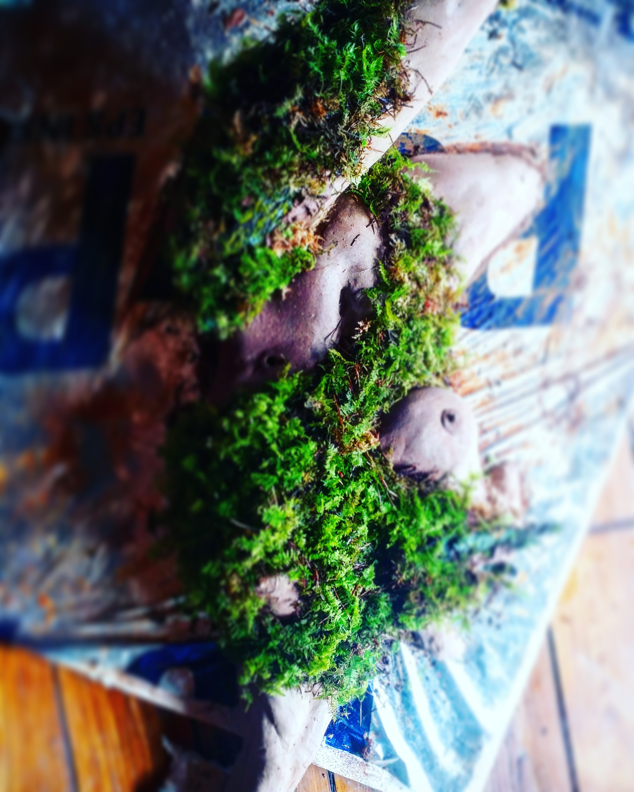 Made a ceramic sculpture to grow moss but its not doing well and I'm