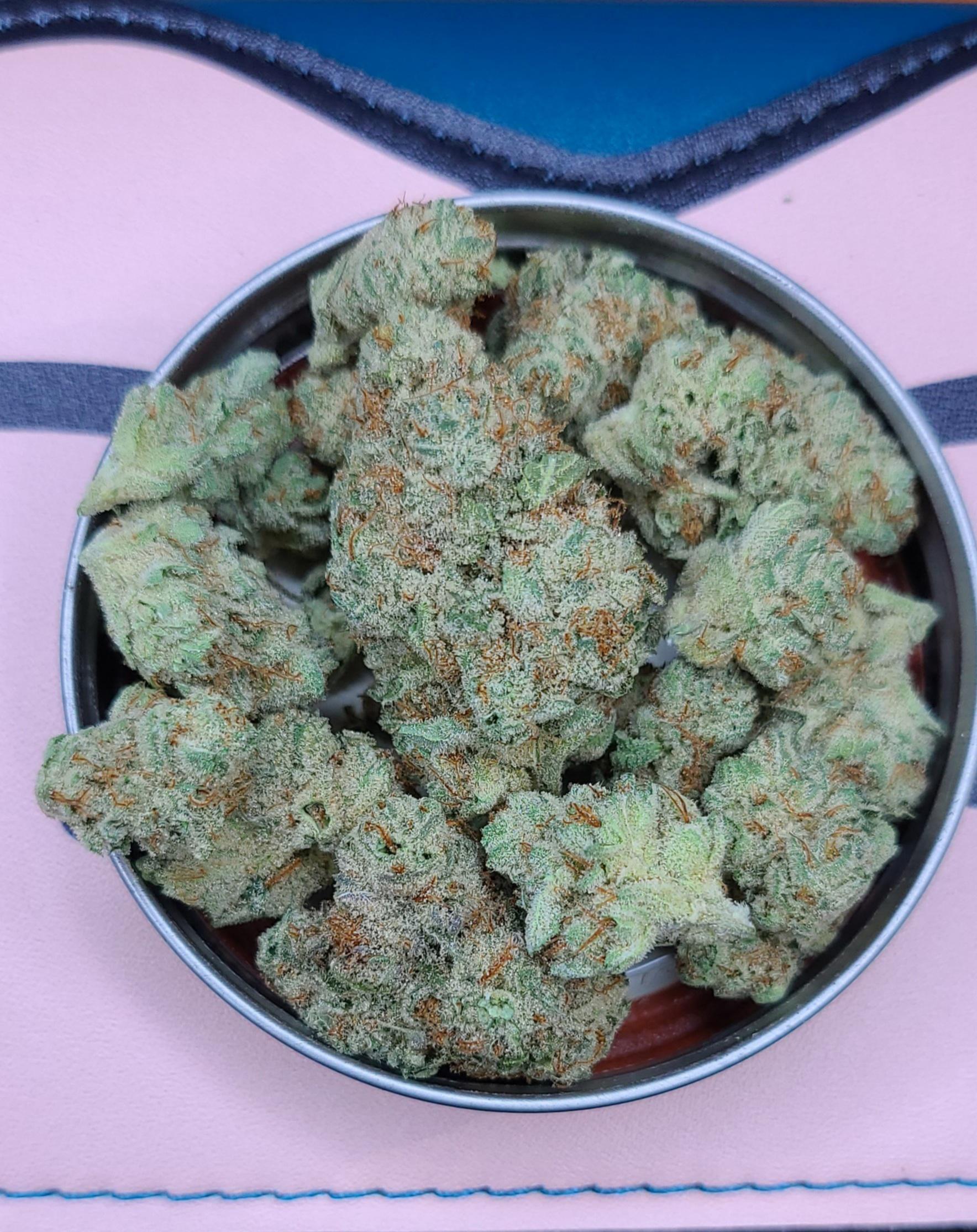 BioJesus Cresco r/bostontrees