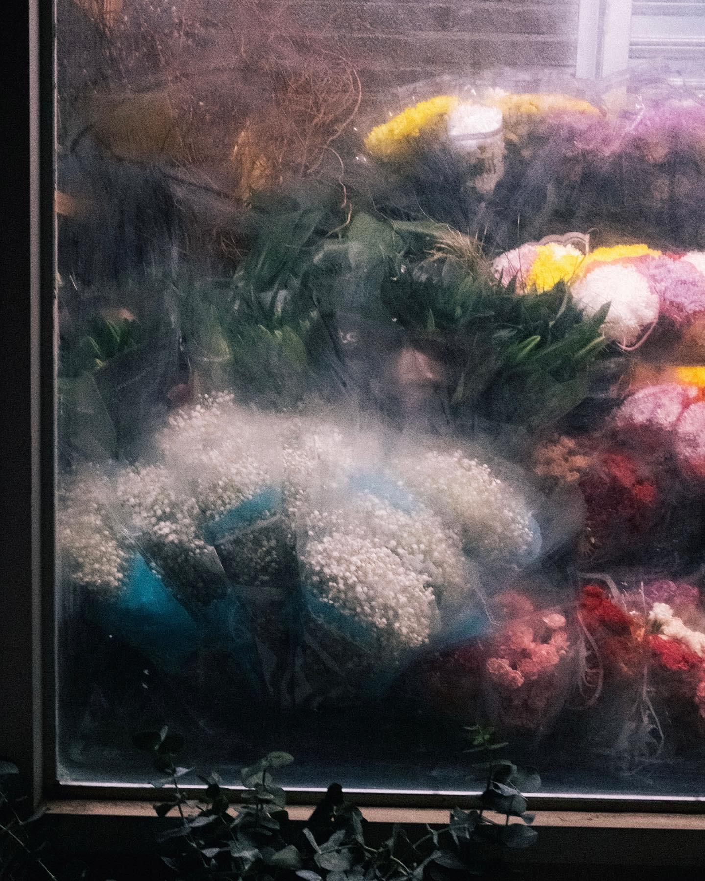 Dirty window, unsold flowers (X100V) r/fujix