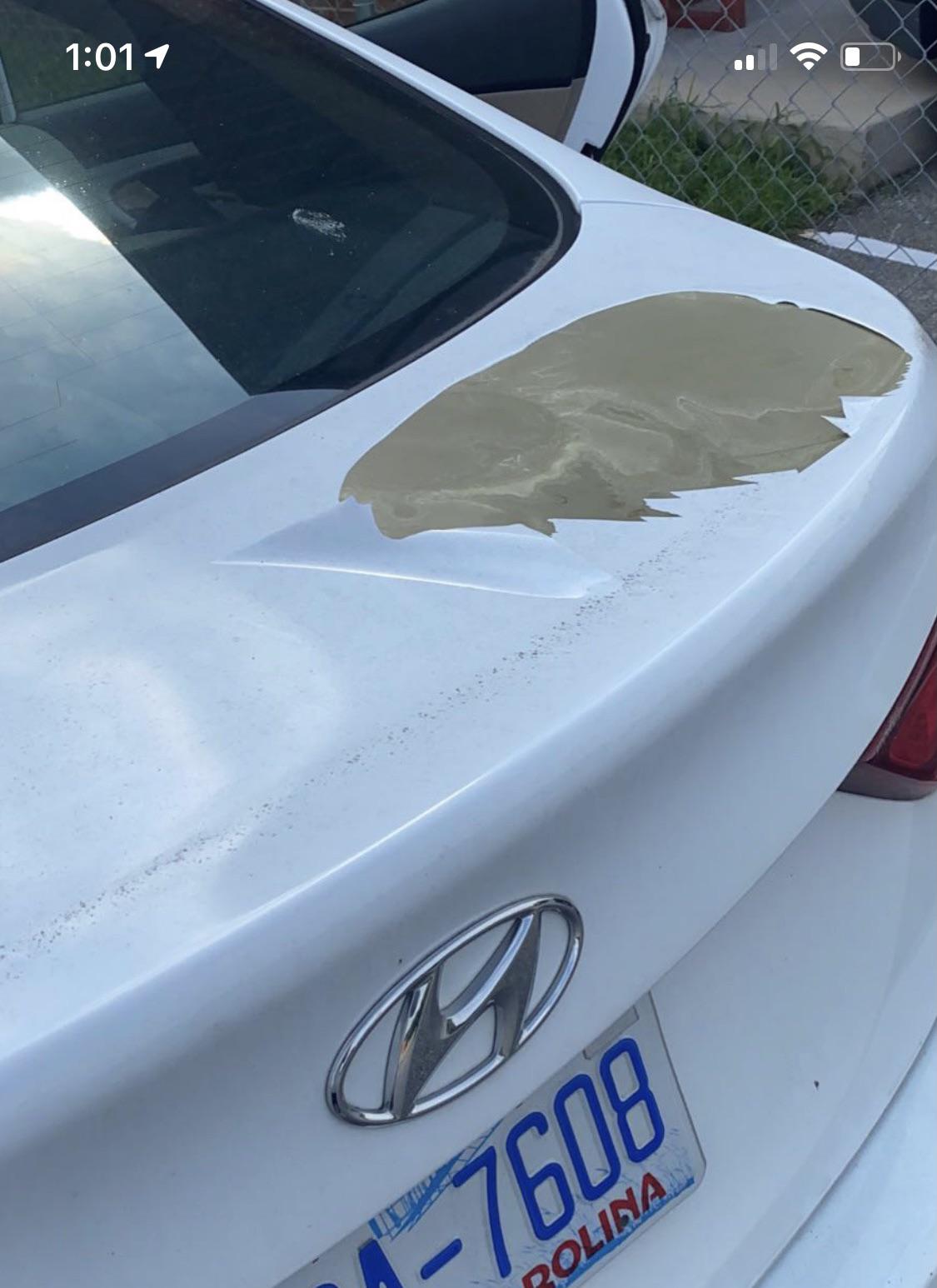 2015 Hyundai Elantra paint peeling. I don’t live in an extreme
