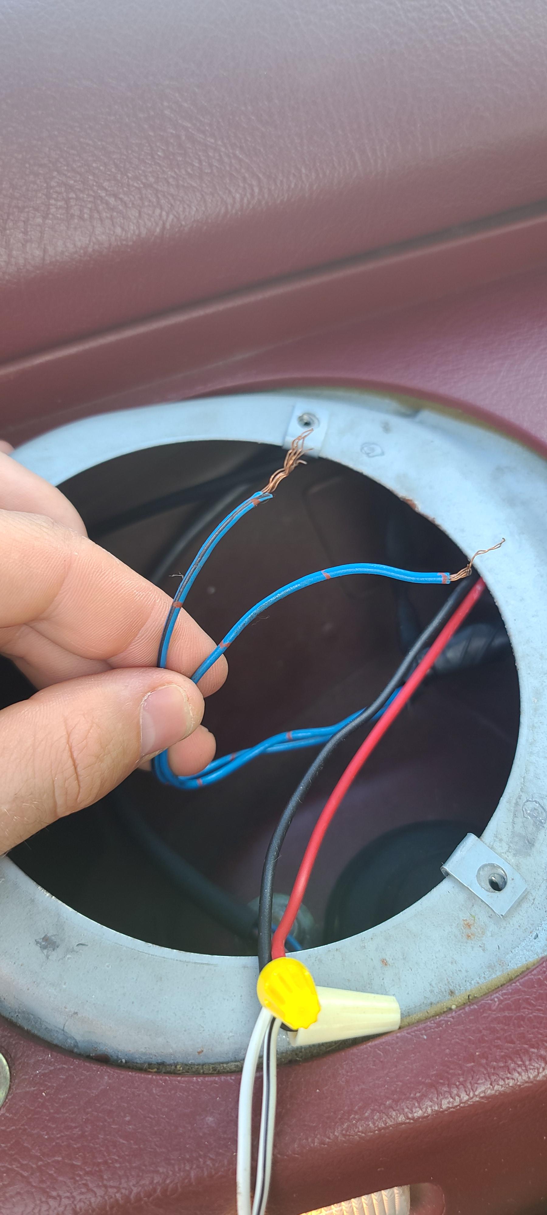 Blue wires? 300zx