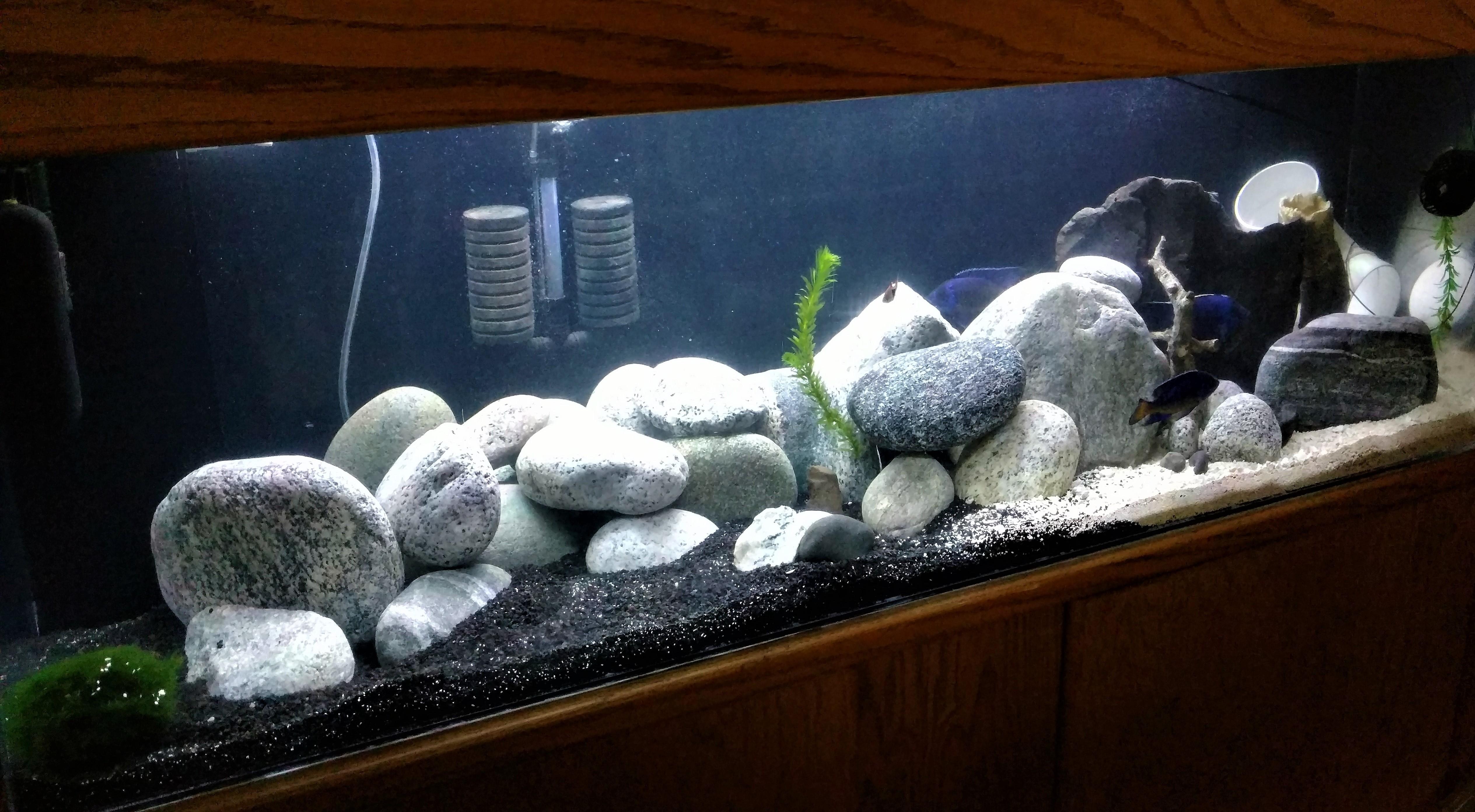 Tried to follow some of the rockscape advice. r/Aquariums