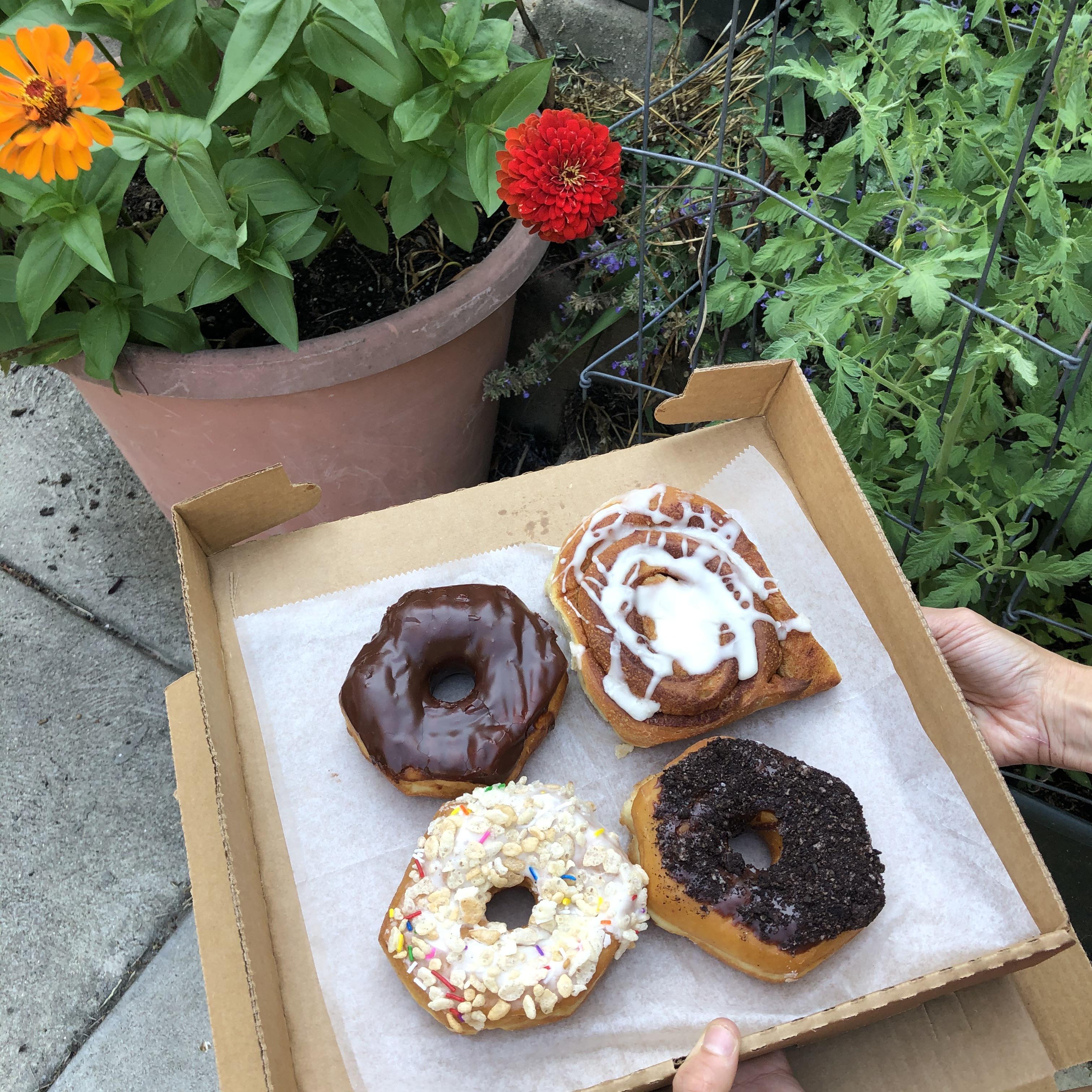 Dotties Donuts, Philadelphia! Chocolate glazed, rice krispy, cinnamon