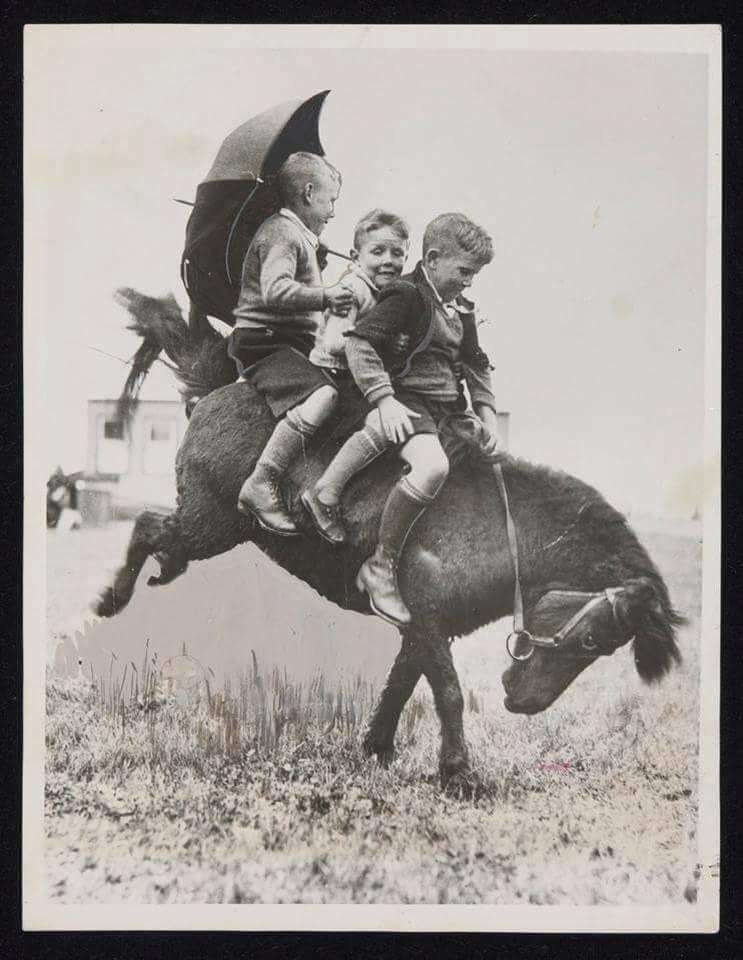 A proper pony ride : r/TheWayWeWere