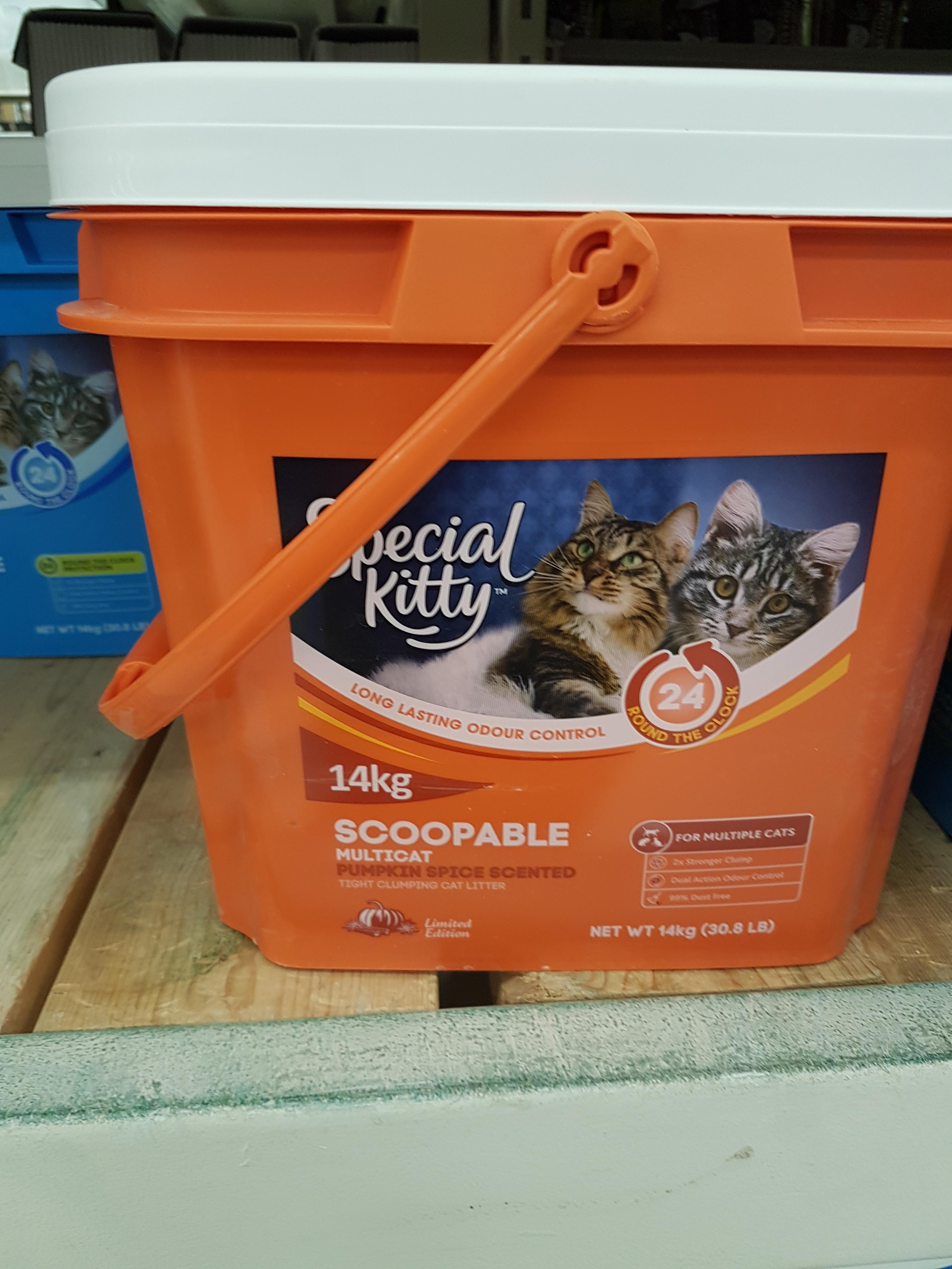 Pumpkin spice cat litter!? News That Makes You Go WTF!?