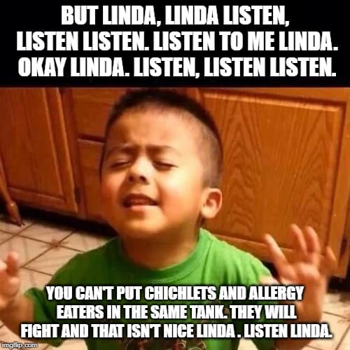 Linda, Listen! AquariumMemes