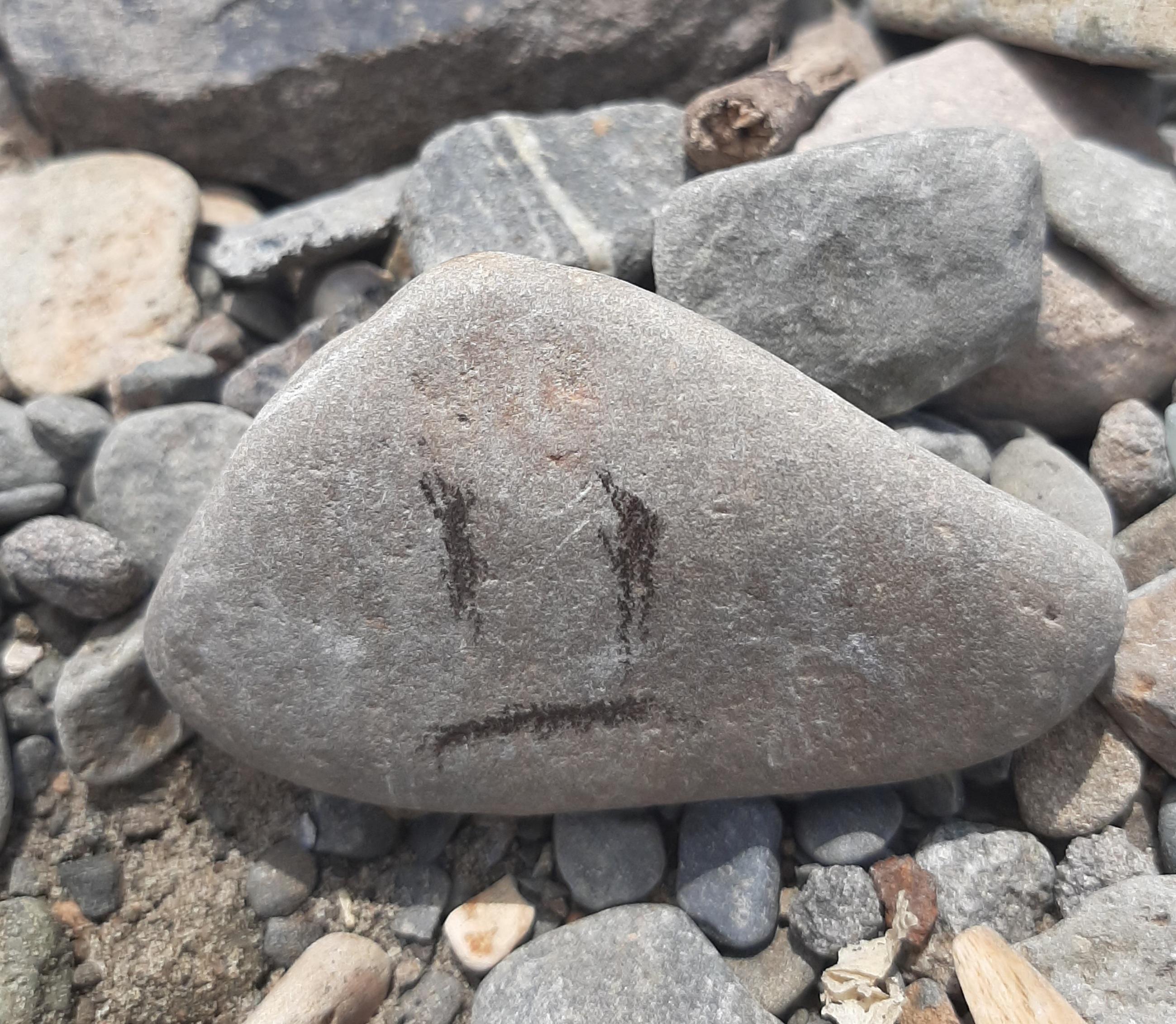 My pet rock , Vlad r/OMORI