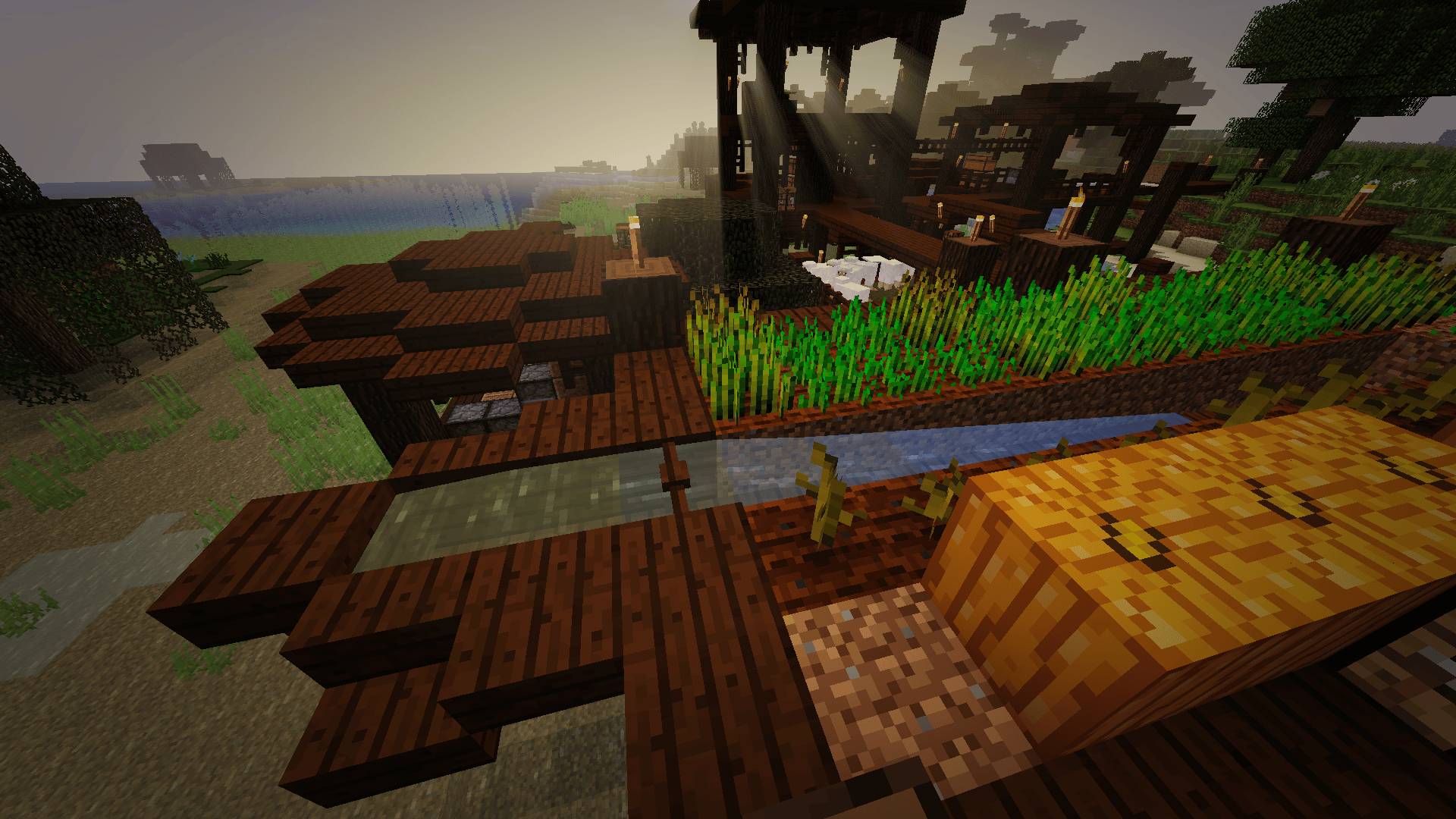 A "water filter" idea with a border from swamp to another biome Minecraft
