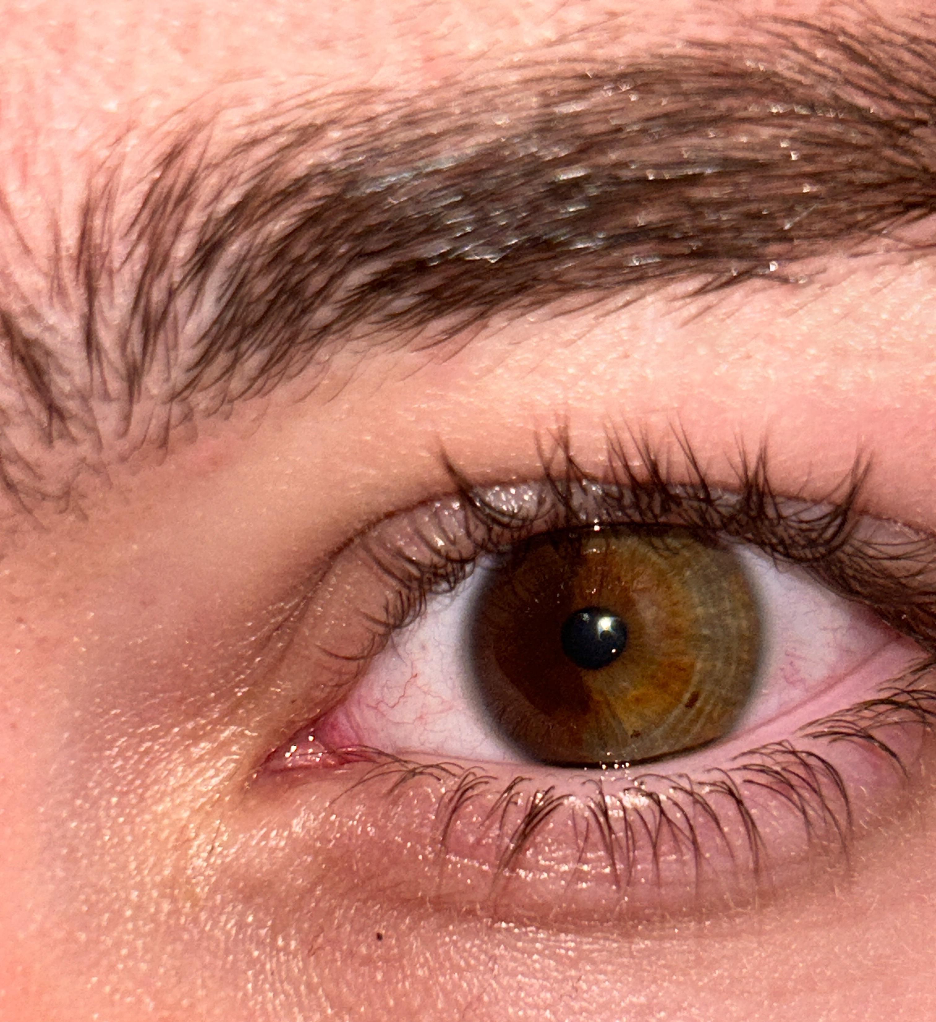 Brown or hazel? r/WhatisMyEyeColour