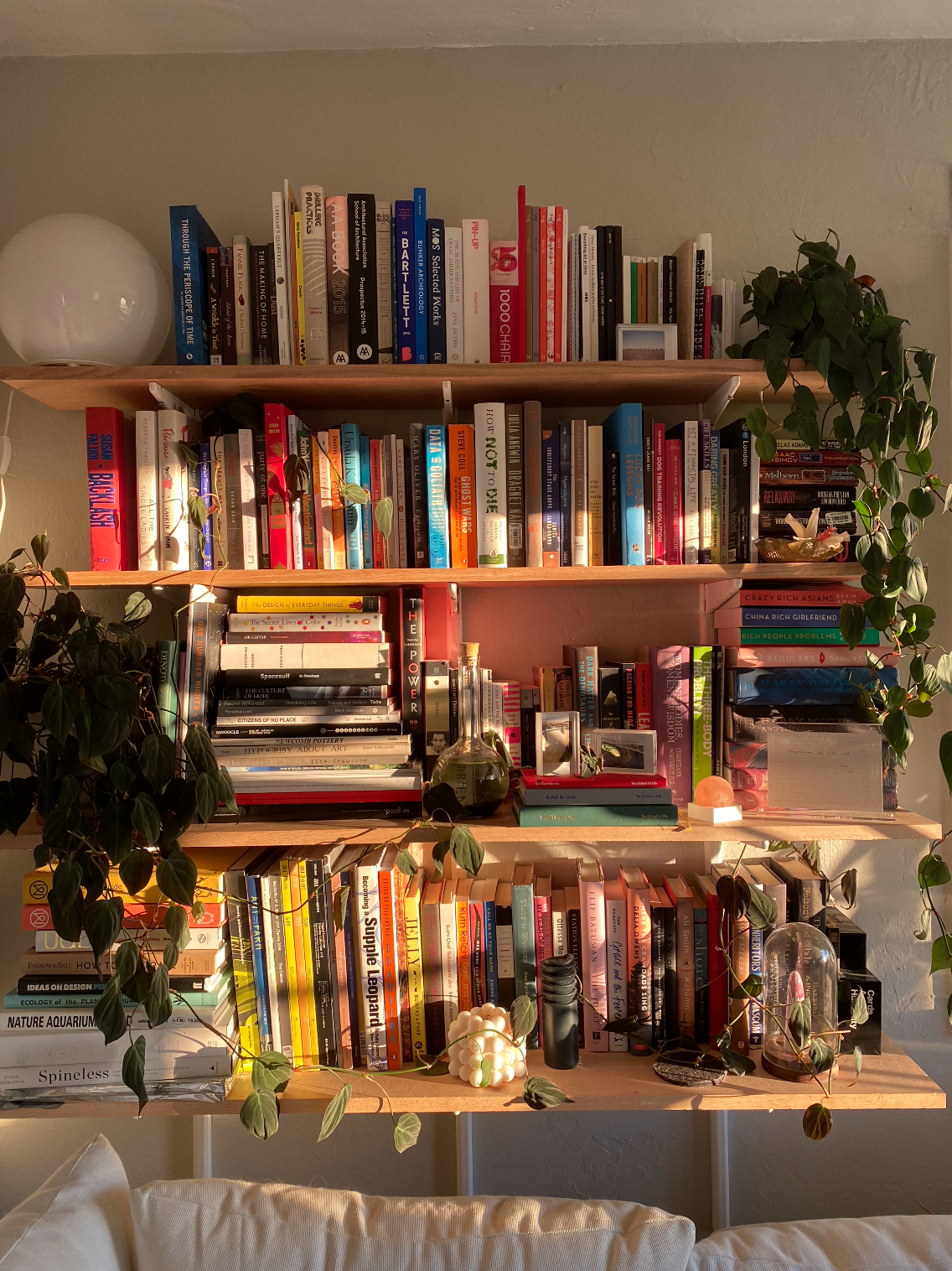 Mini library! I built these shelves in my rented apartment. The place