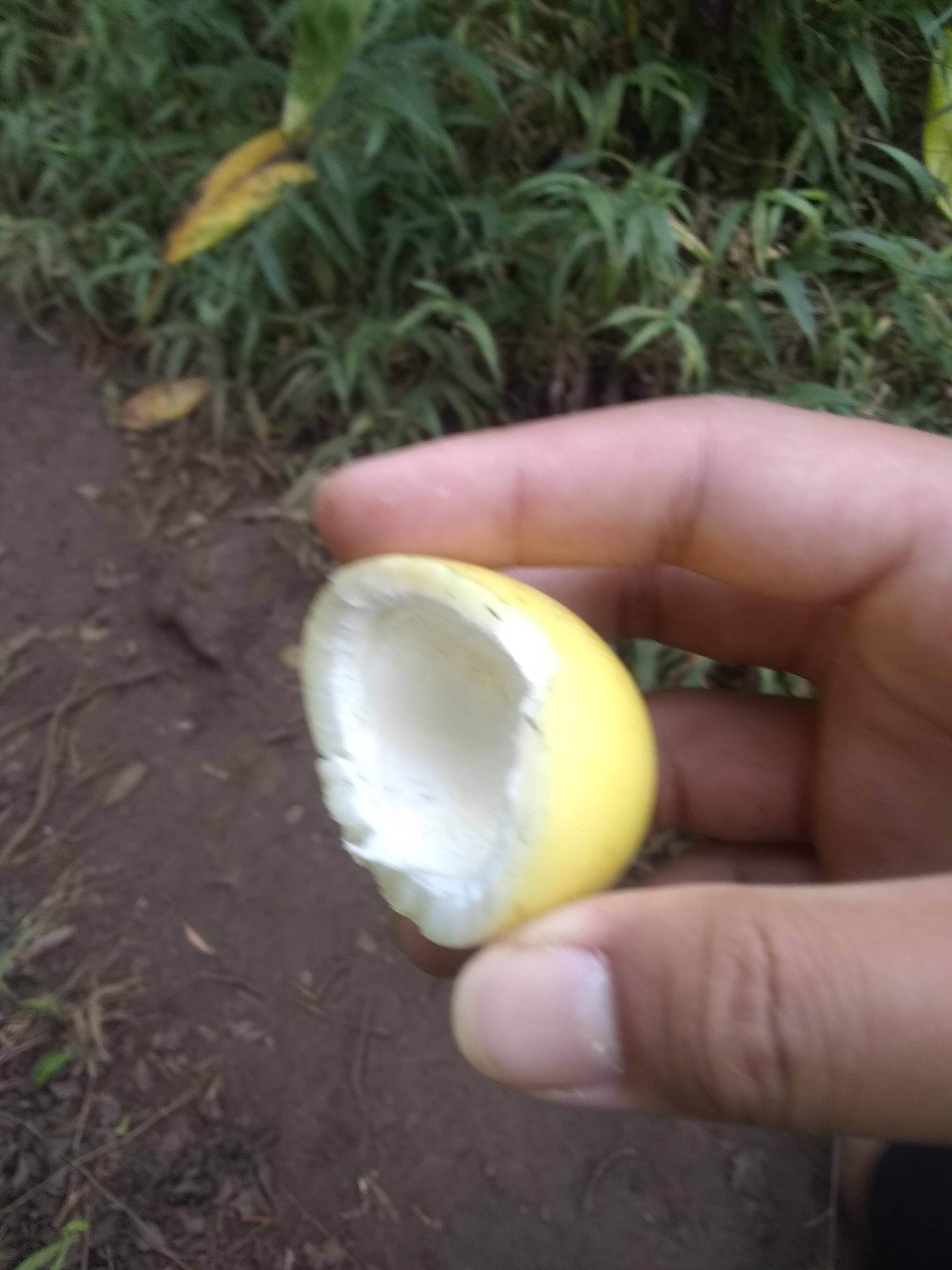 Why is my passion fruit empty? r/Wellthatsucks