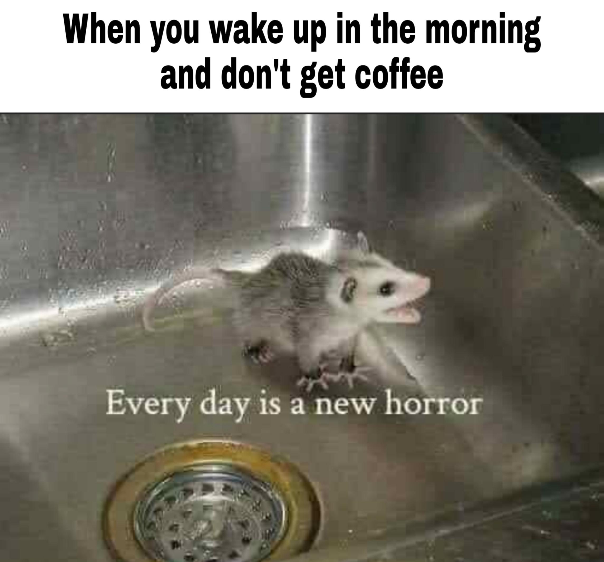 Need bean juice r/memes