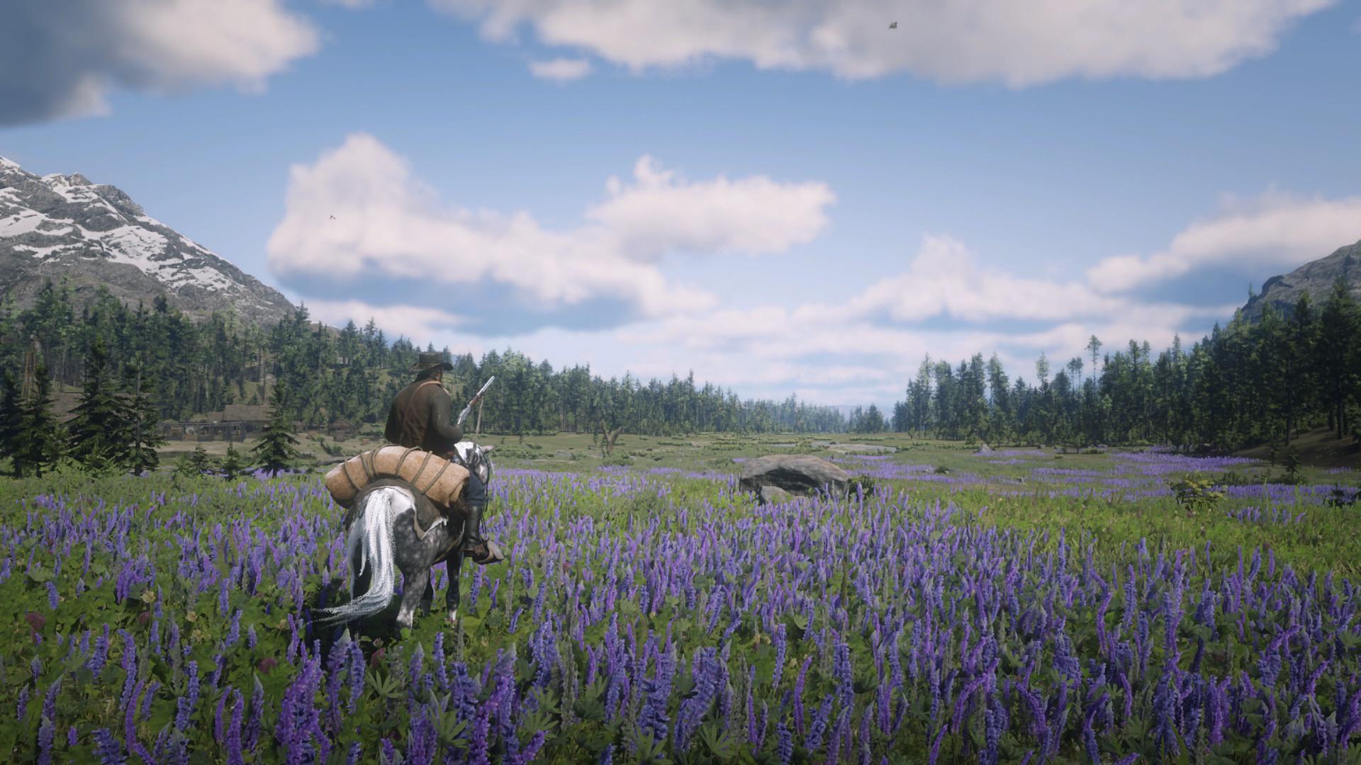 Big Valley is my favorite area of the map hands down. r/reddeadredemption