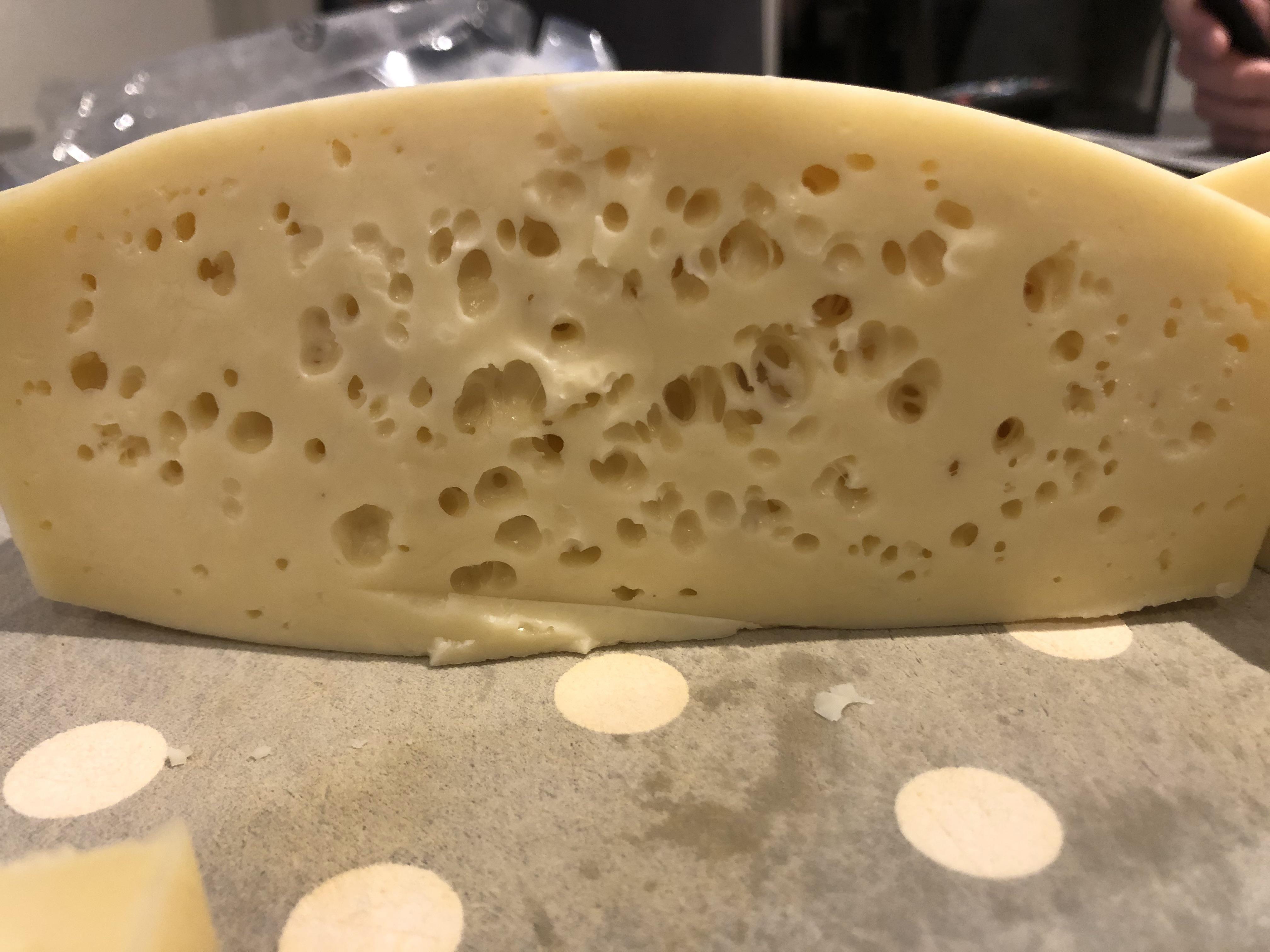 My gouda came out looking like this. Is it safe to eat? r/cheesemaking