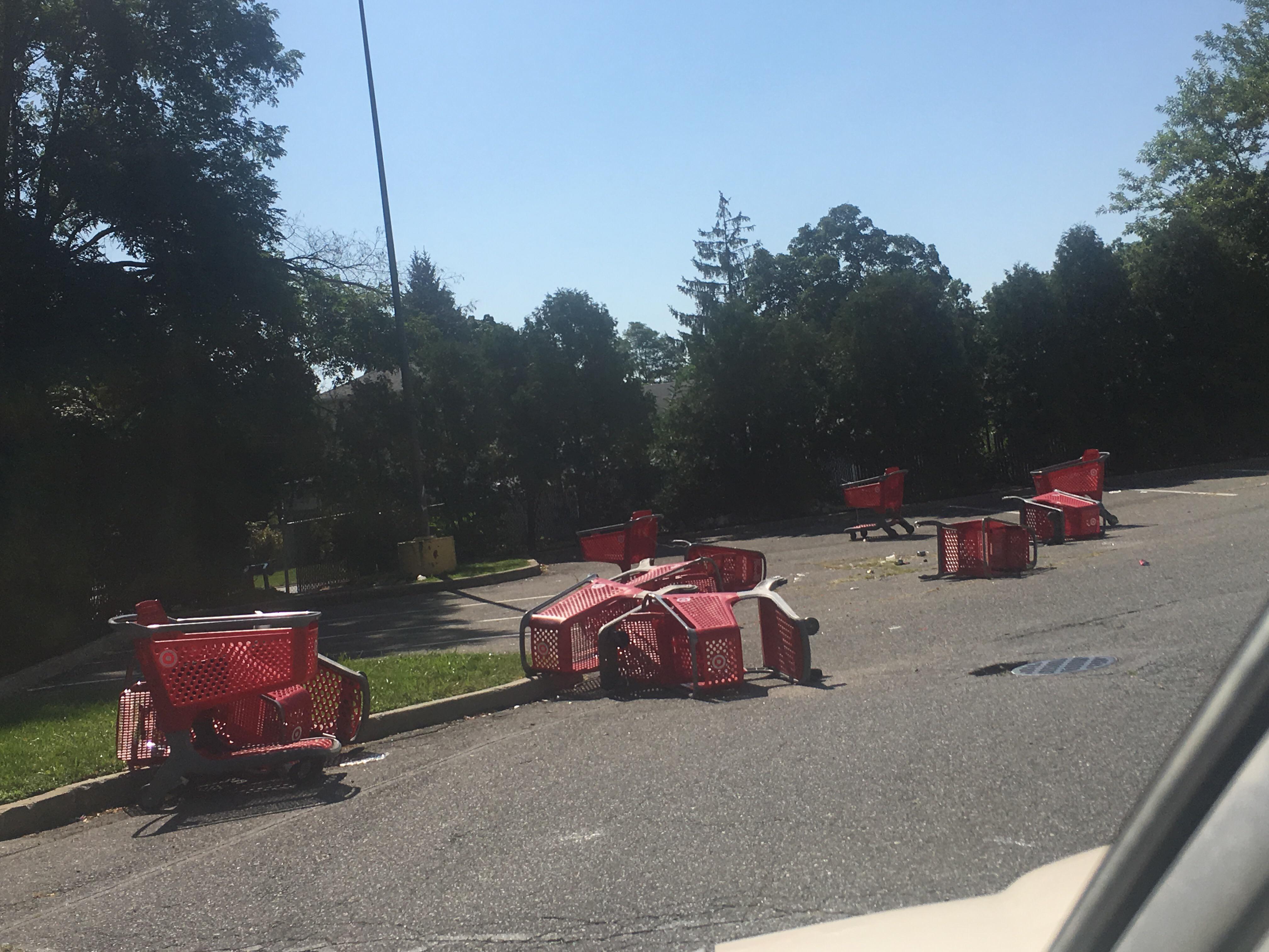 Behind every target is a shopping cart graveyard! r/pics