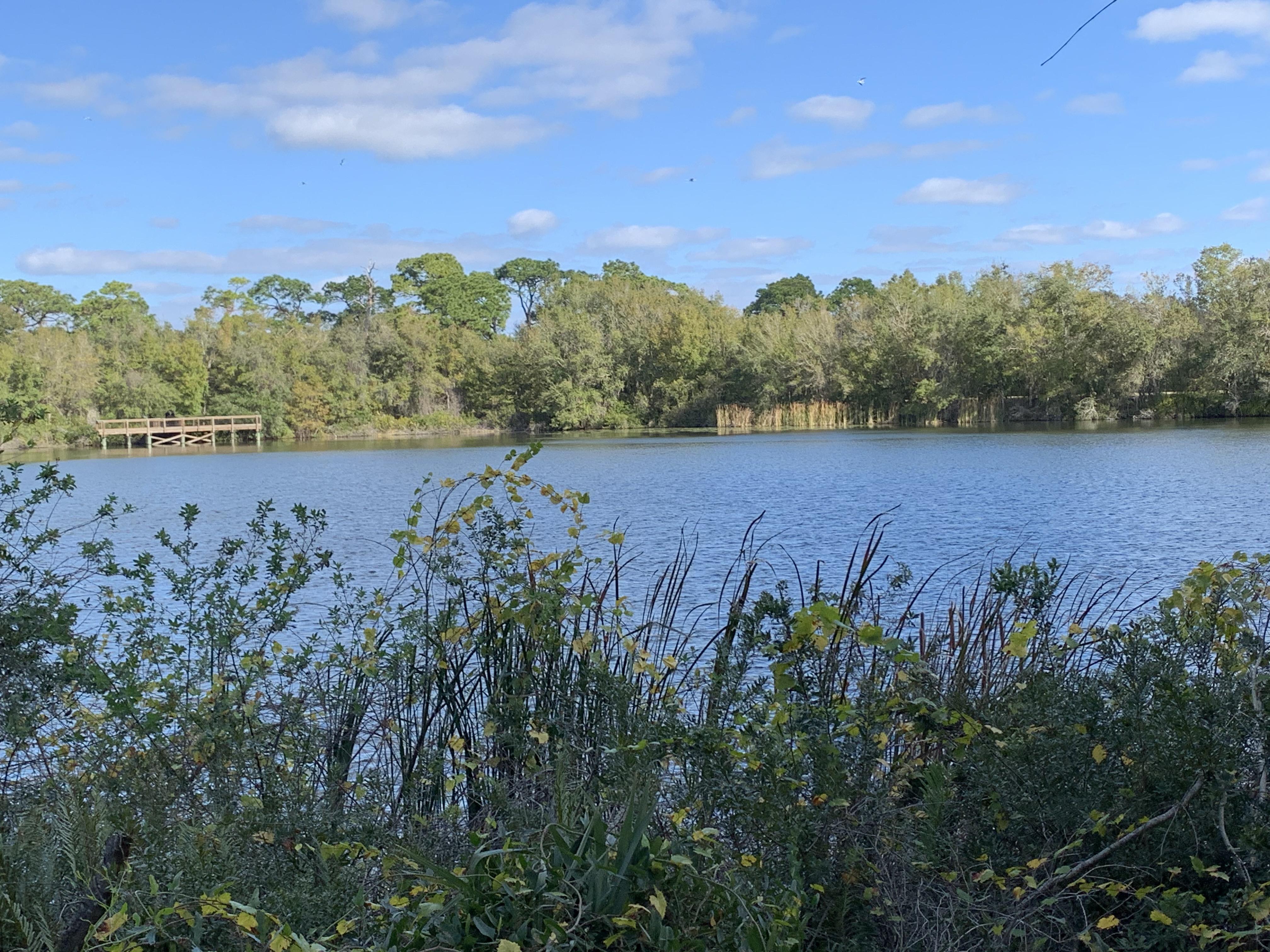 Eagle Lake Florida A Comprehensive Guide to Its History, Community