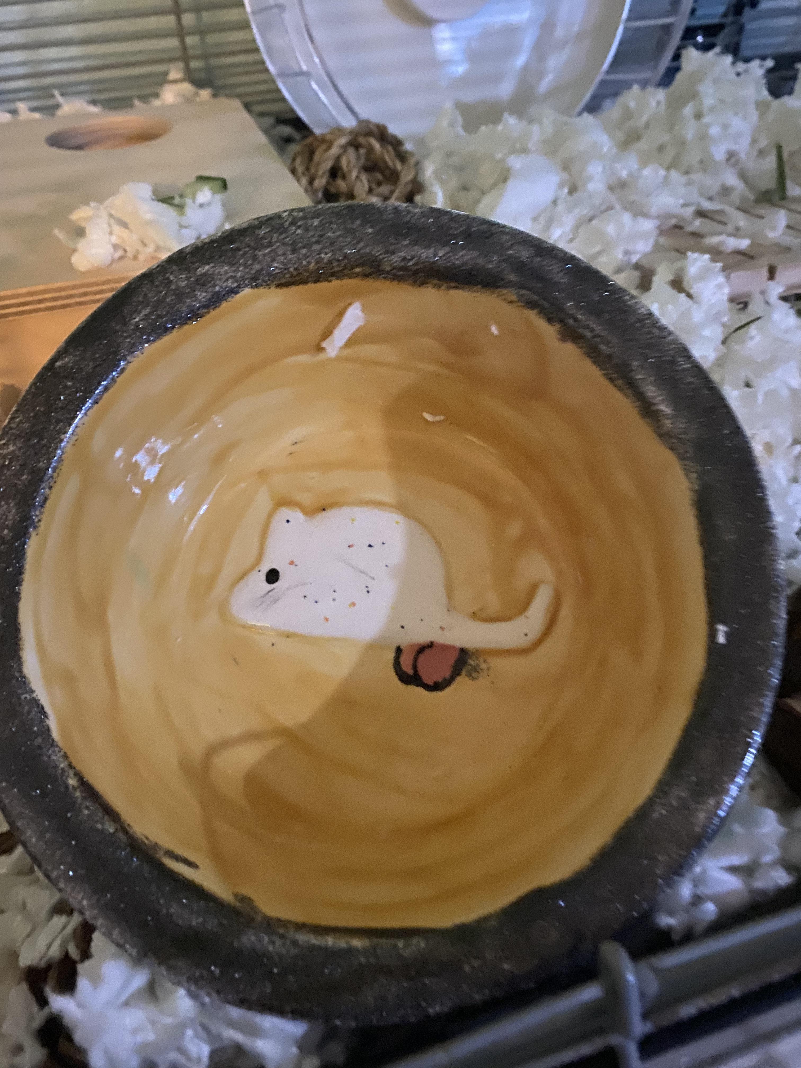 Carlisle’s ceramic cooling bowl that really captures the essence of a