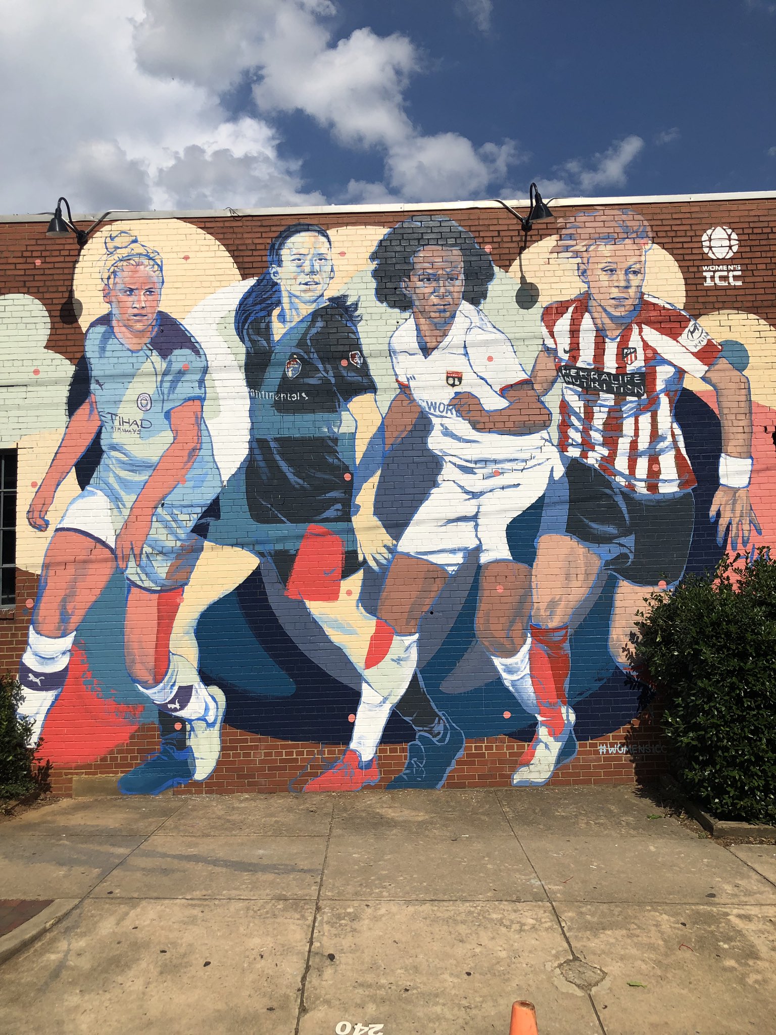 Wall Murals Raleigh Nc at Mark Sabala blog