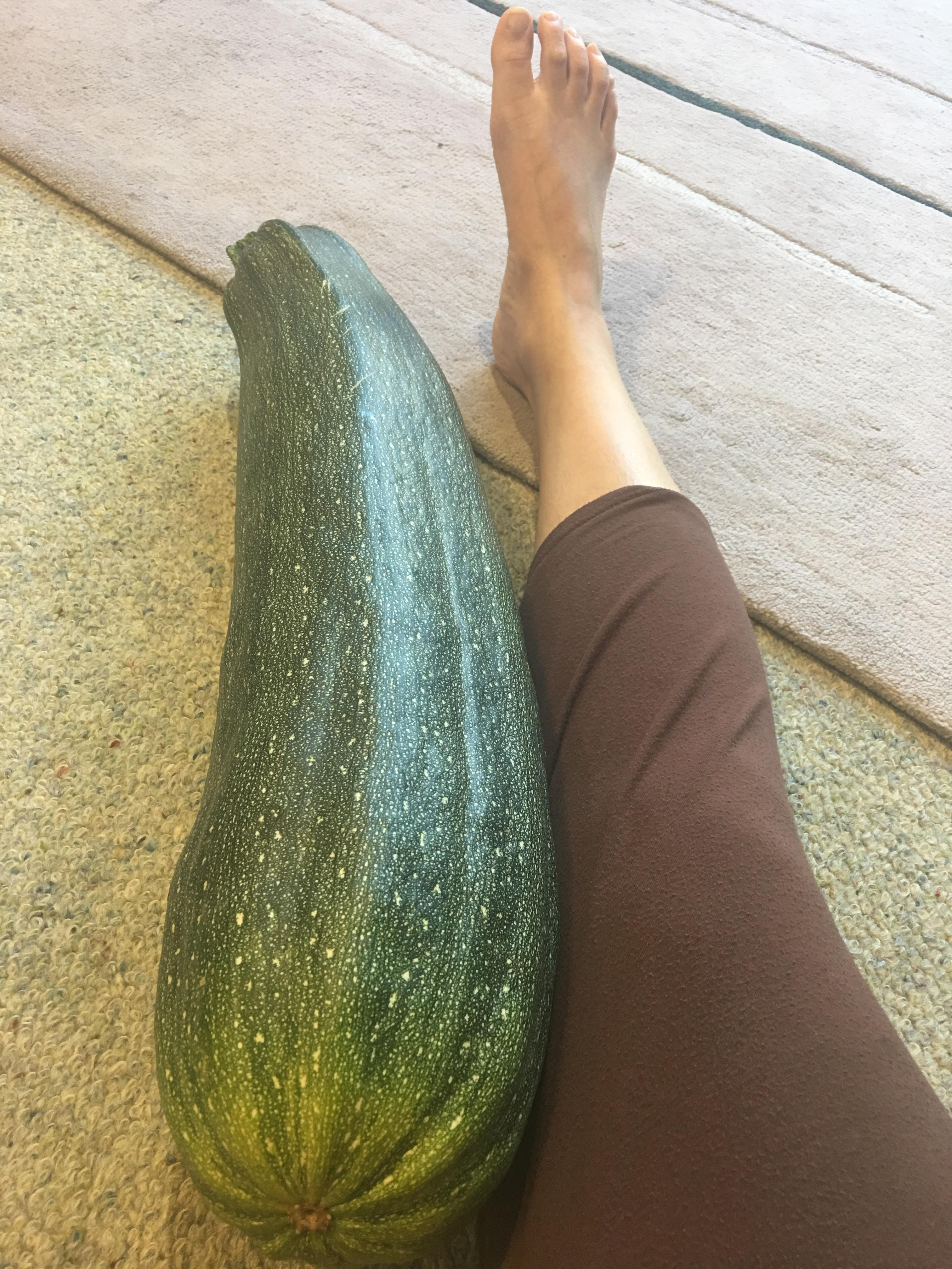 Zucchini!! r/gardening